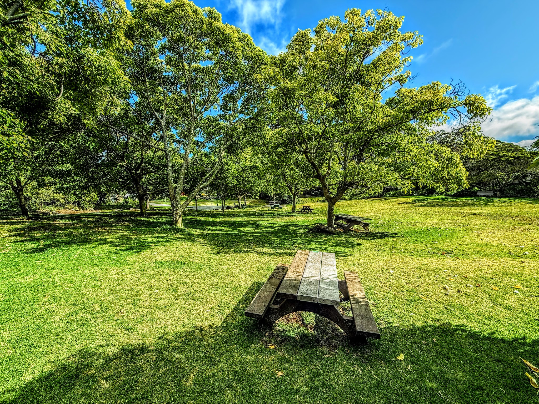 Ulu La‘au (Waimea Nature Park) - Waimea, HI