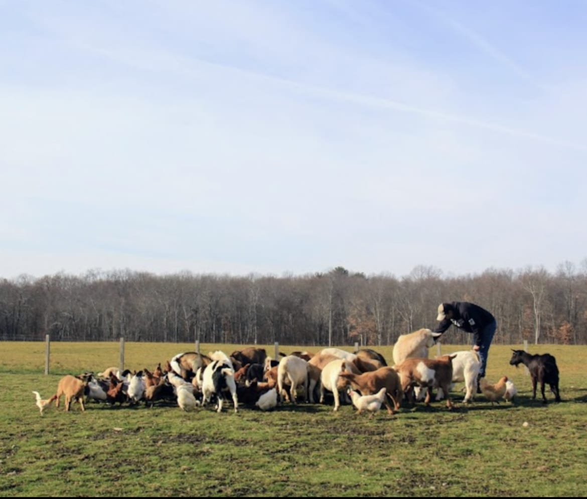 Bella Acres Farm & Sanctuary - Walden, NY