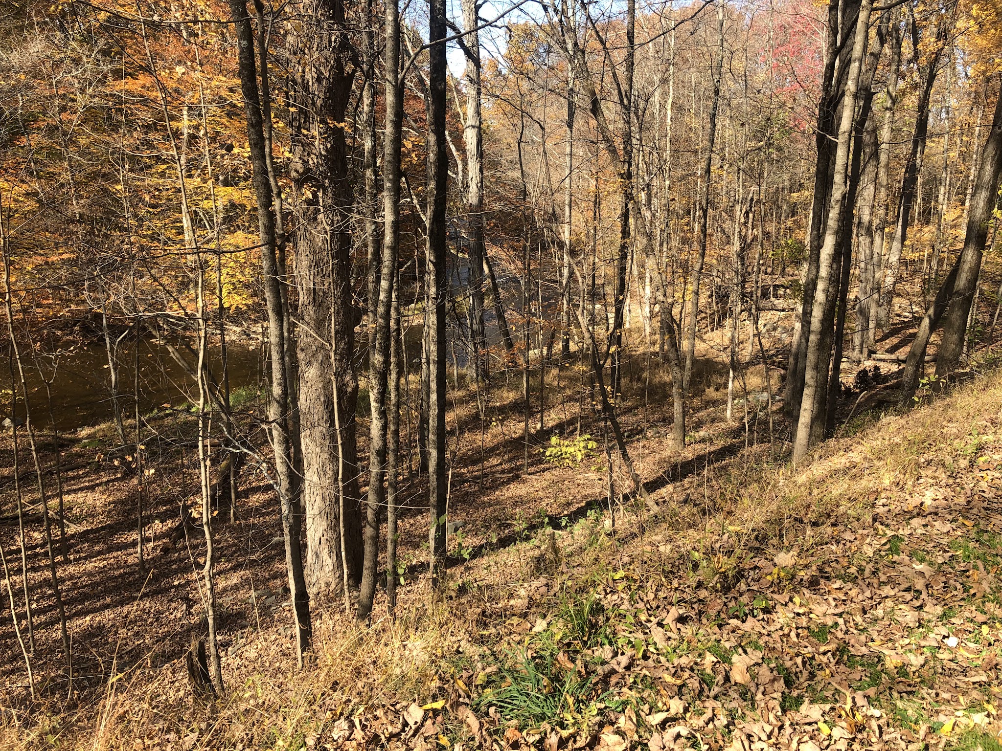 Kimball Park - Walden, NY