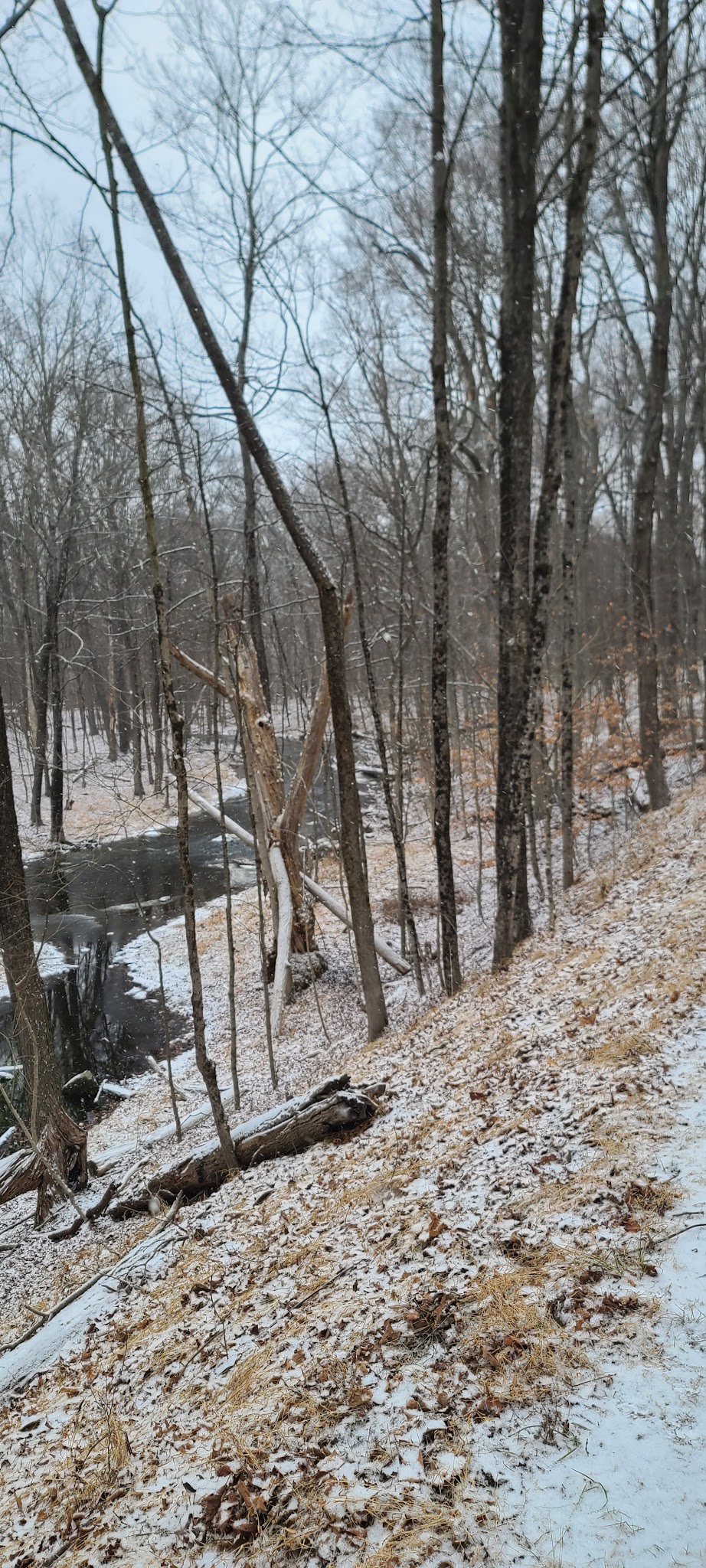 Kimball Park - Walden, NY