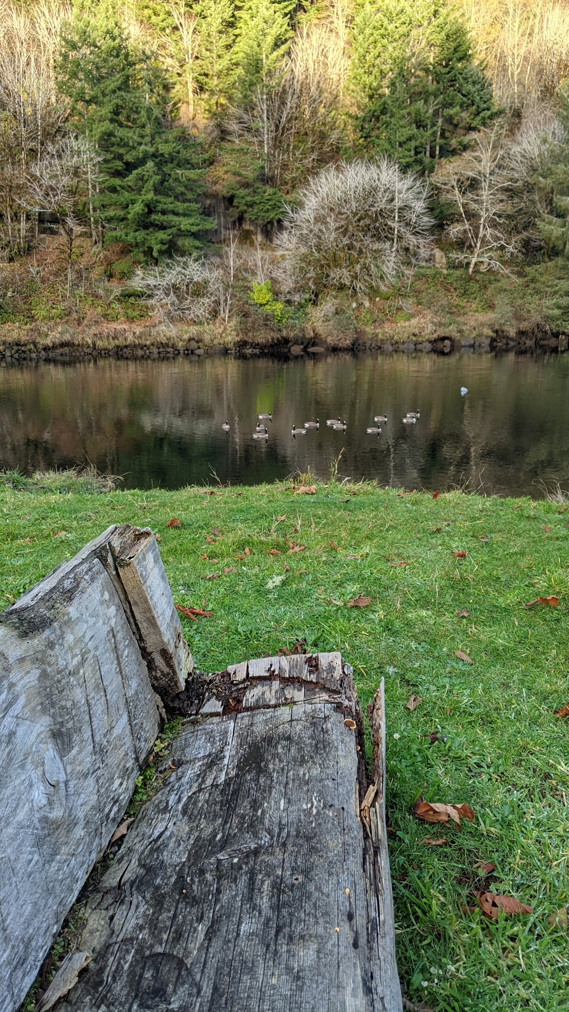 Don Lindly Park - Waldport, OR