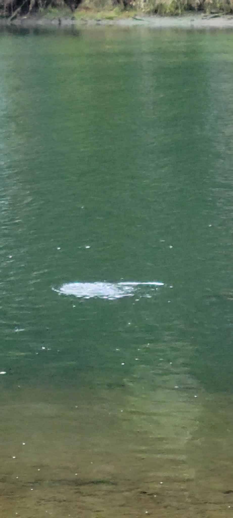 Don Lindly Park - Waldport, OR