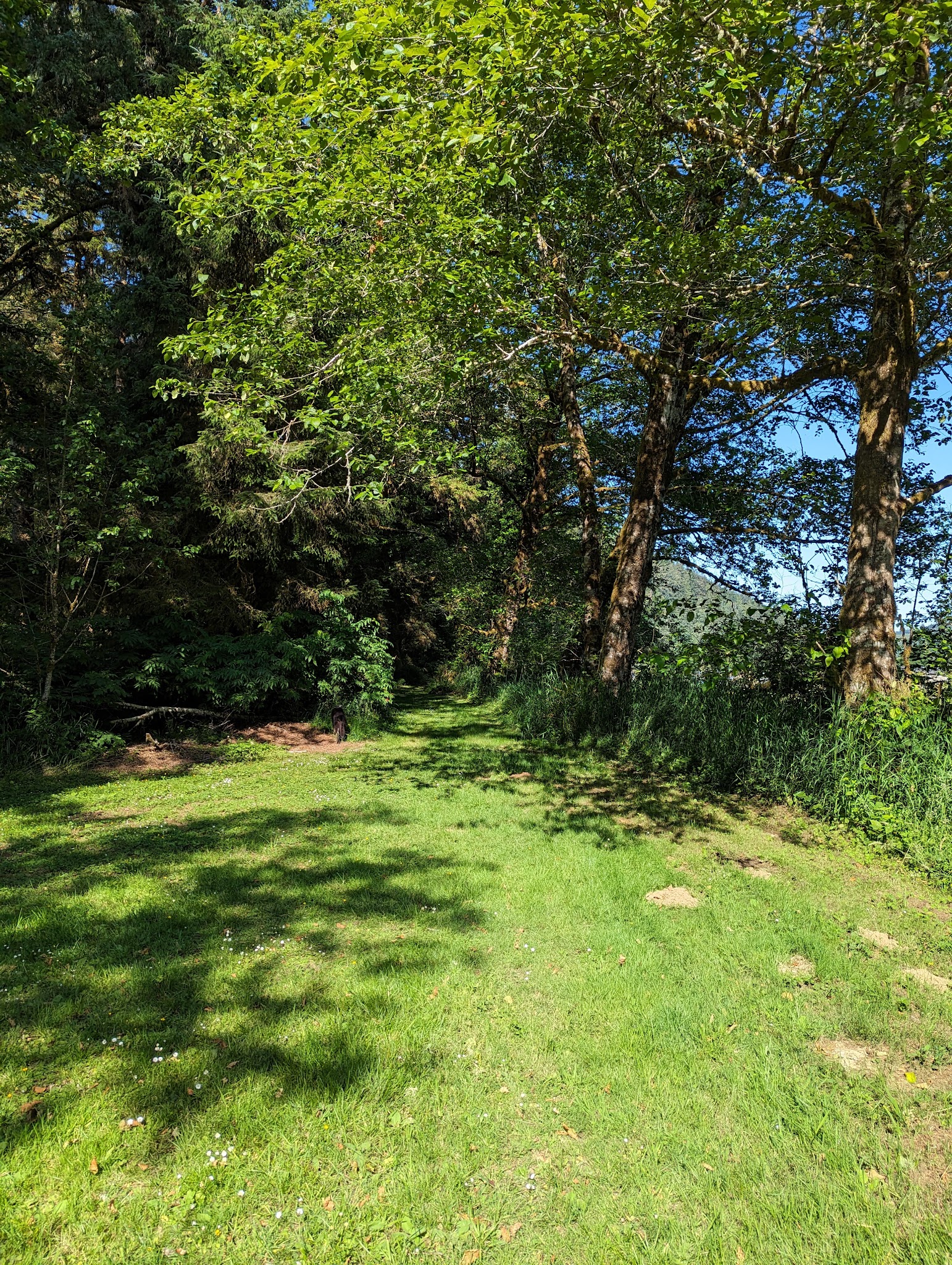 Don Lindly Park - Waldport, OR