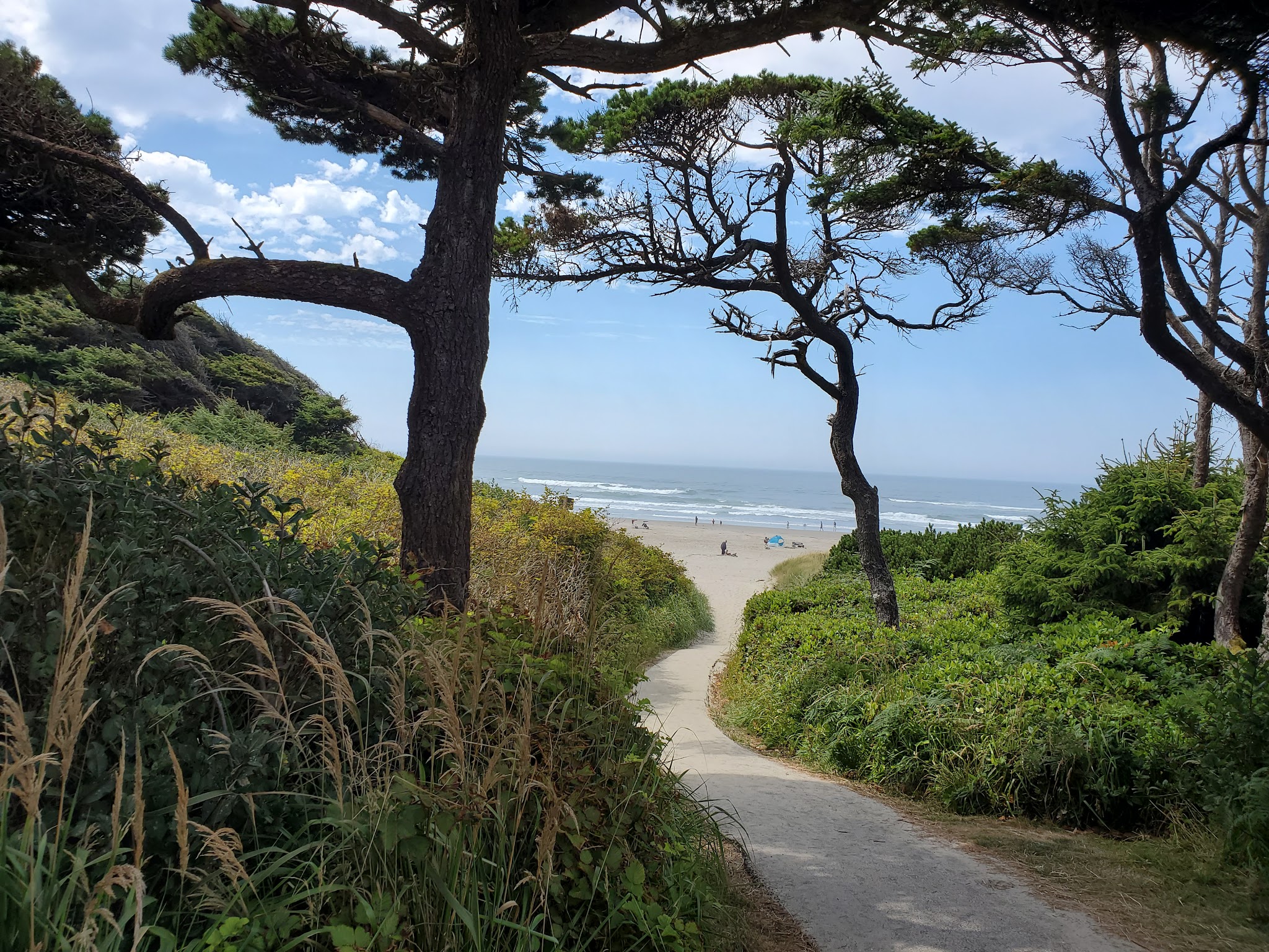 Governor Patterson Memorial State Recreation Site - Waldport, OR