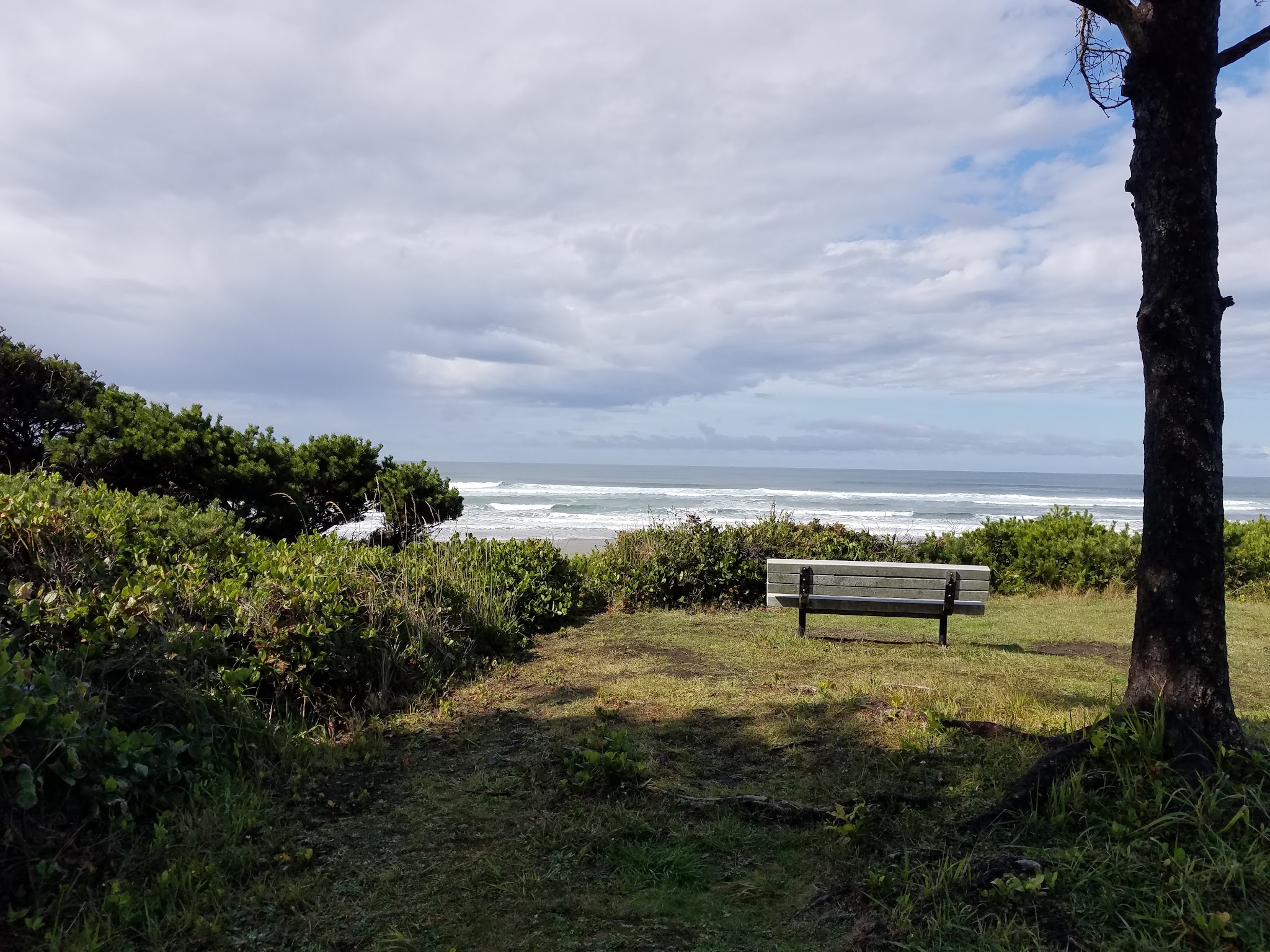 Governor Patterson Memorial State Recreation Site - Waldport, OR