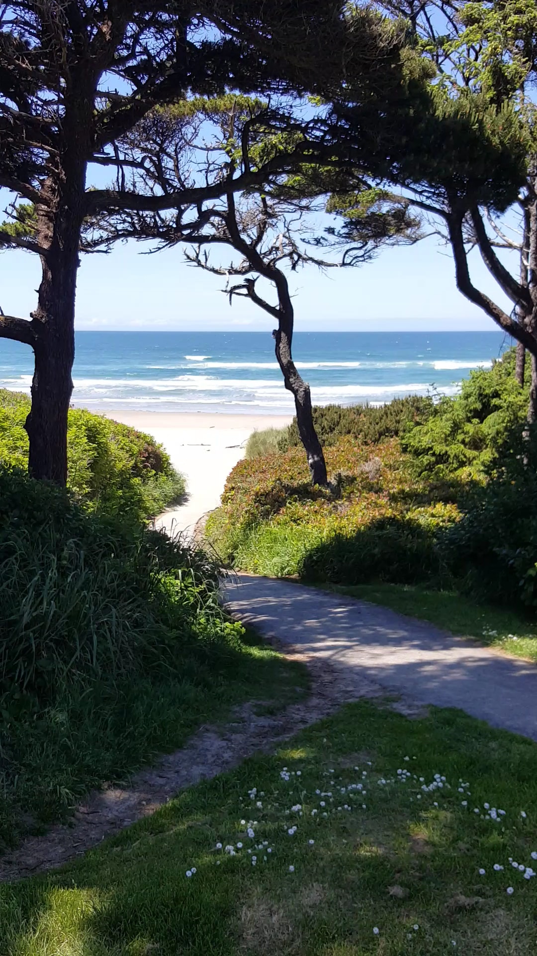 Governor Patterson Memorial State Recreation Site - Waldport, OR