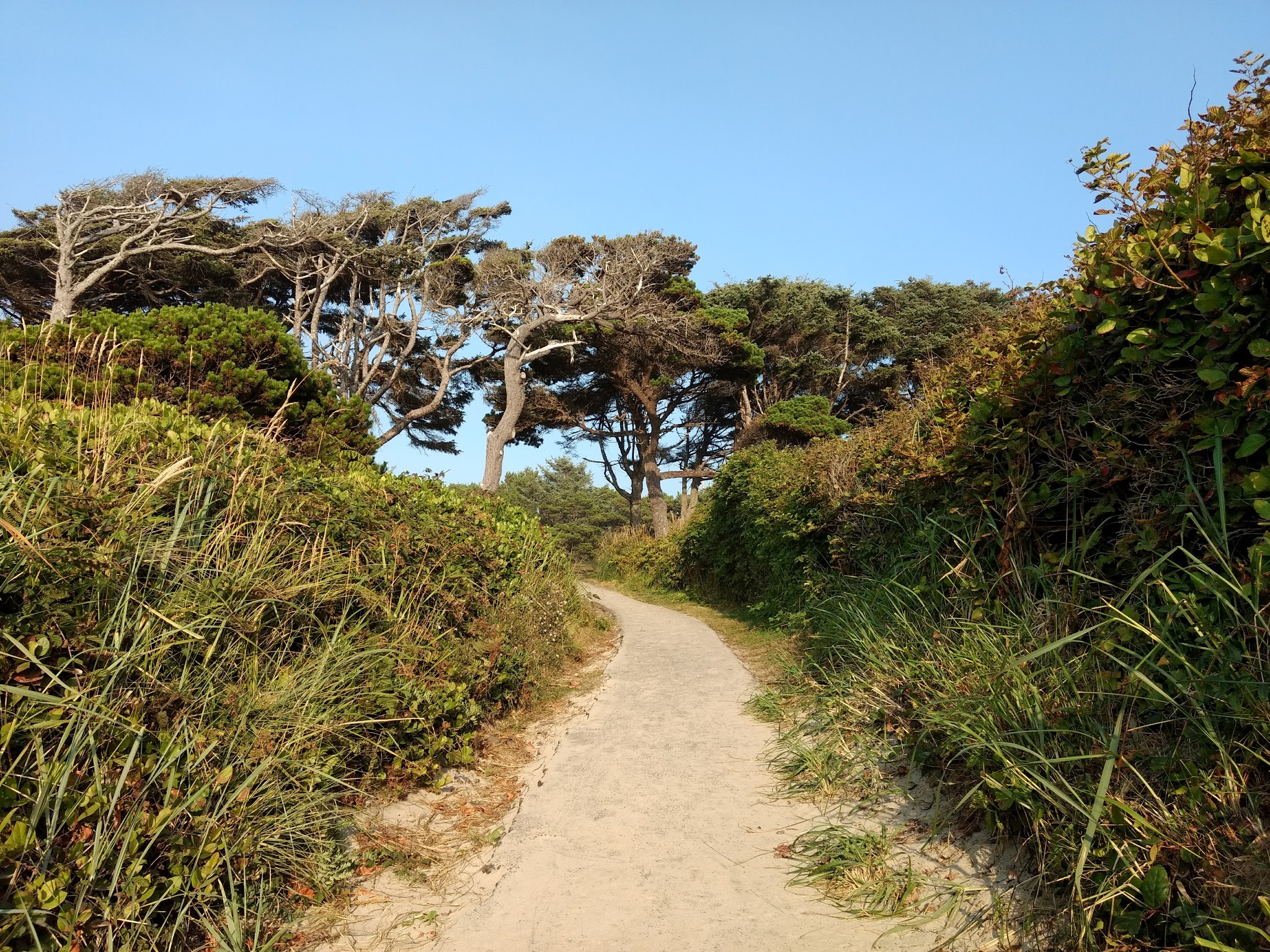Governor Patterson Memorial State Recreation Site - Waldport, OR