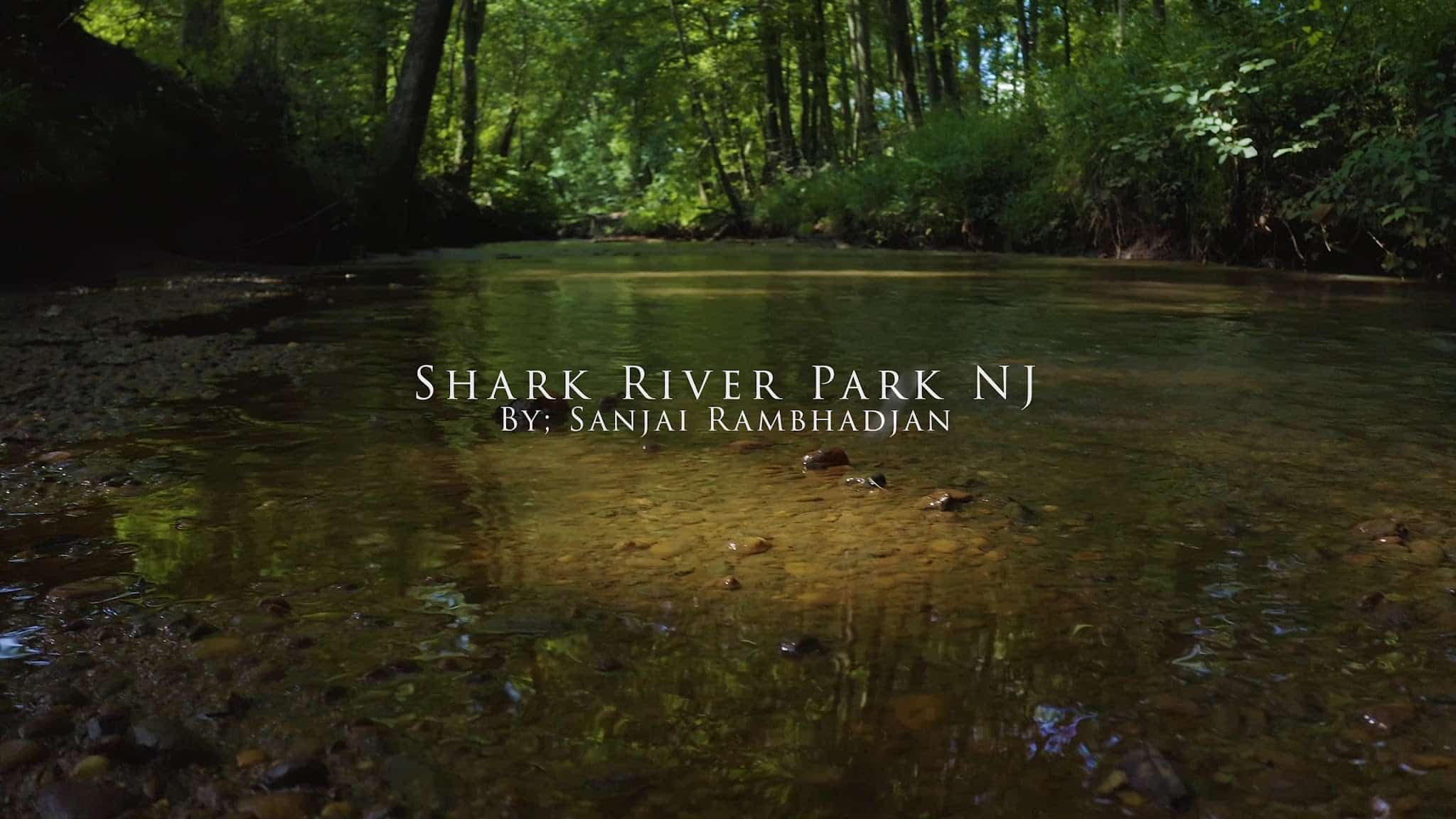 Shark River Park - Wall Township, NJ