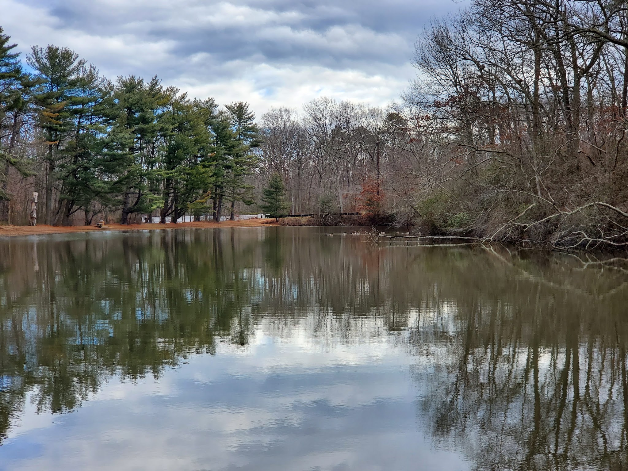 Shark River Park - Wall Township, NJ