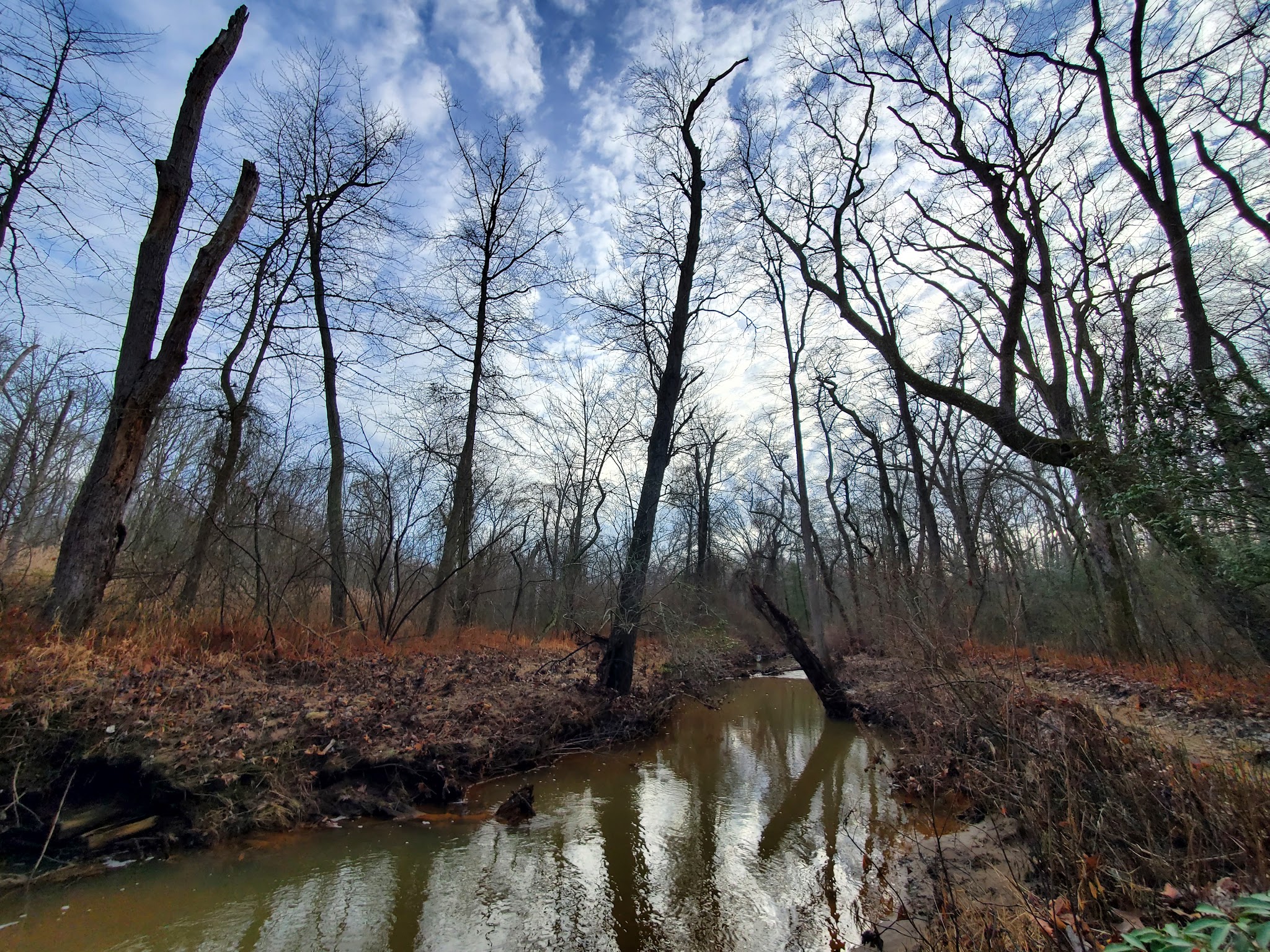 Shark River Park - Wall Township, NJ