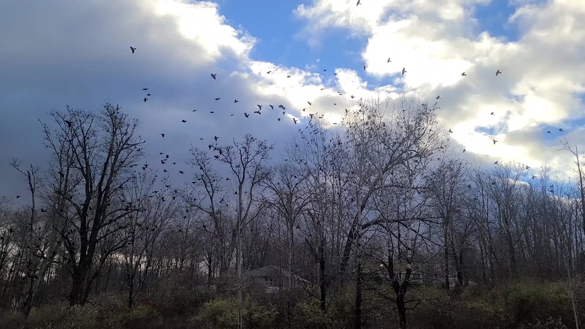 Awosting Reserve - Wallkill, NY