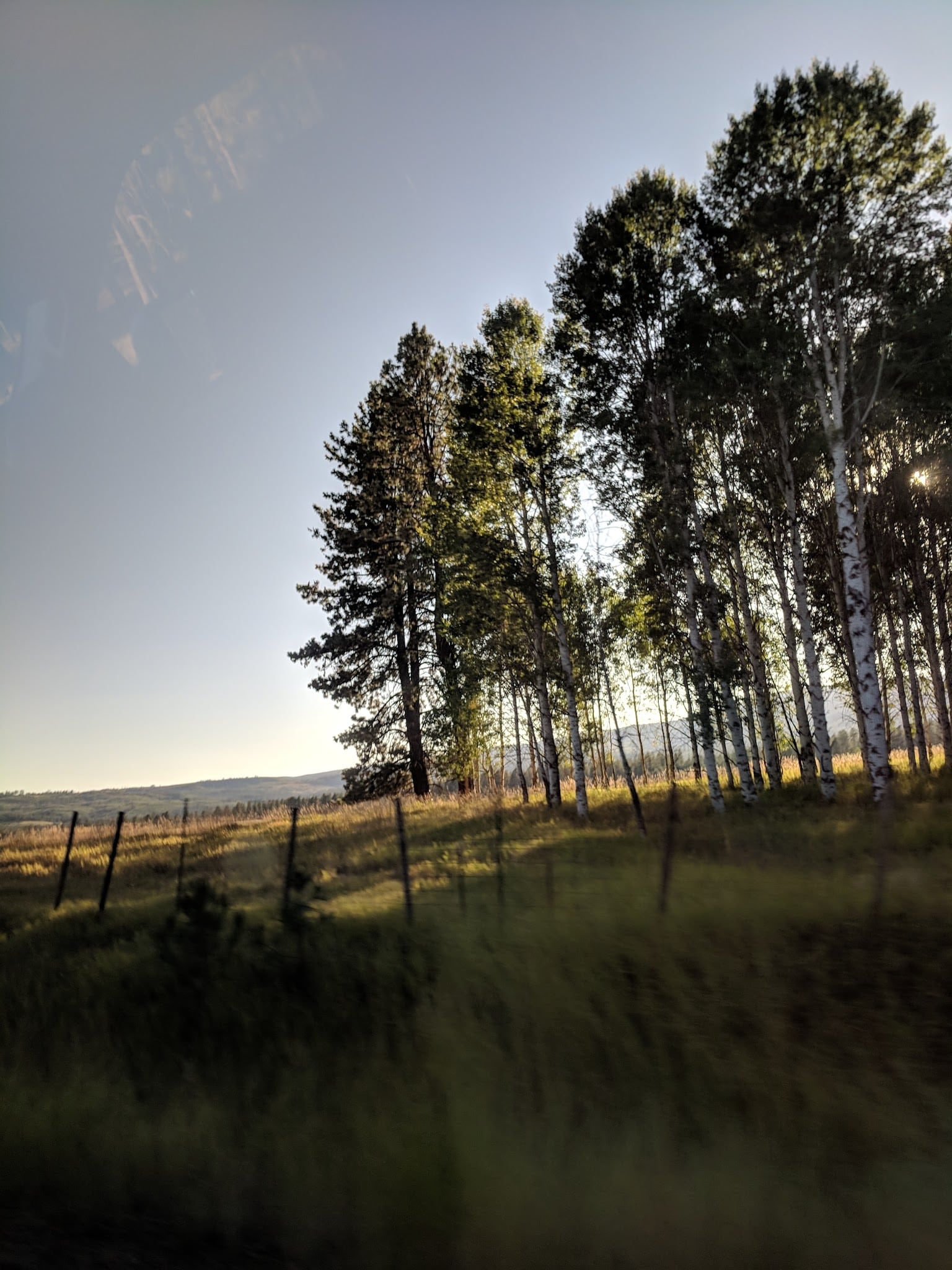 Wallowa Lake Highway Forest State Scenic Corridor - Wallowa, OR