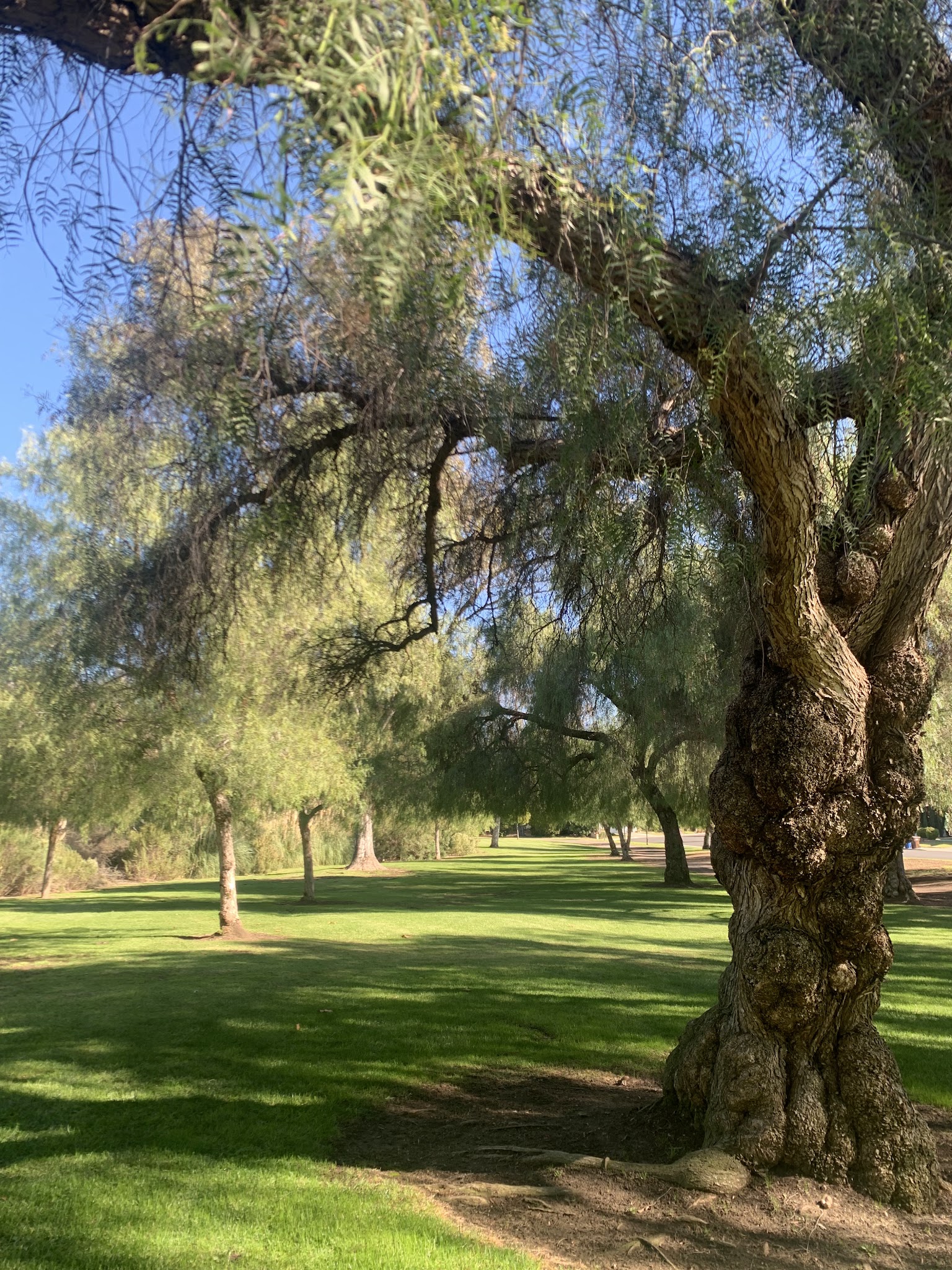 Creekside Park - Walnut, CA