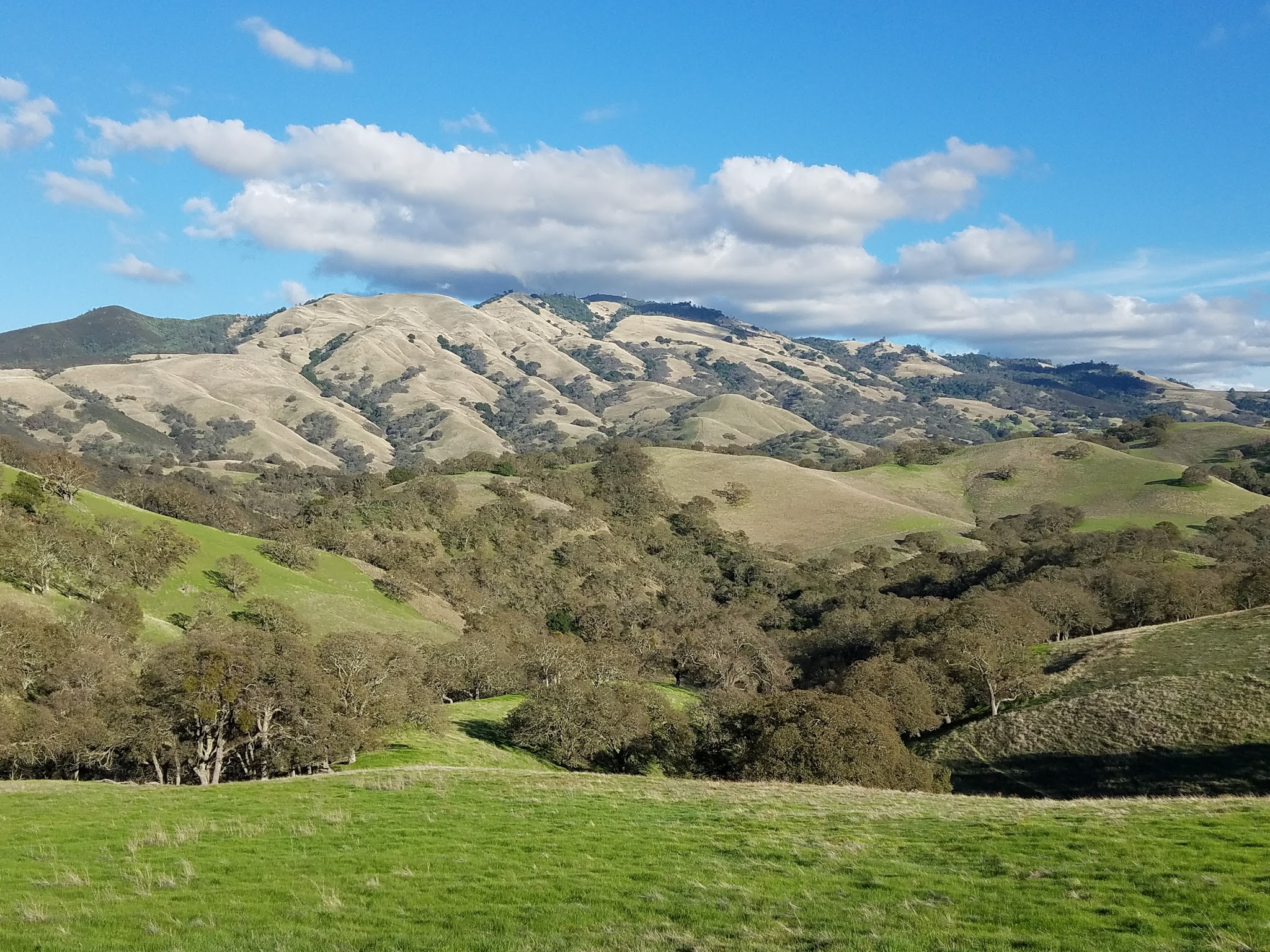 Diablo Foothills Regional Park - Walnut Creek, CA