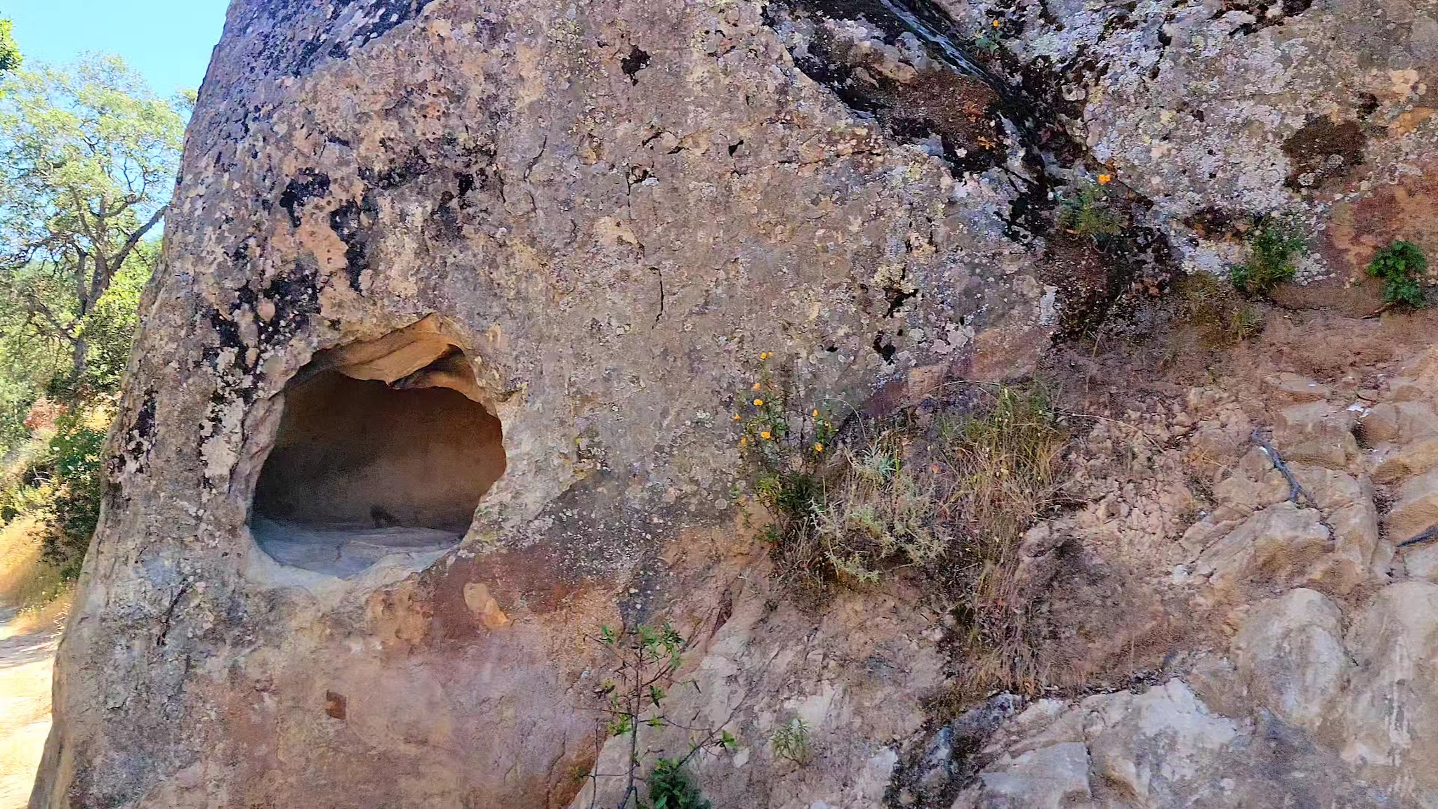 Diablo Foothills Regional Park - Walnut Creek, CA