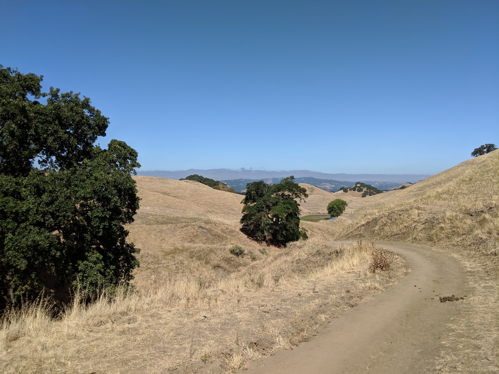 Diablo Foothills Regional Park - Walnut Creek, CA