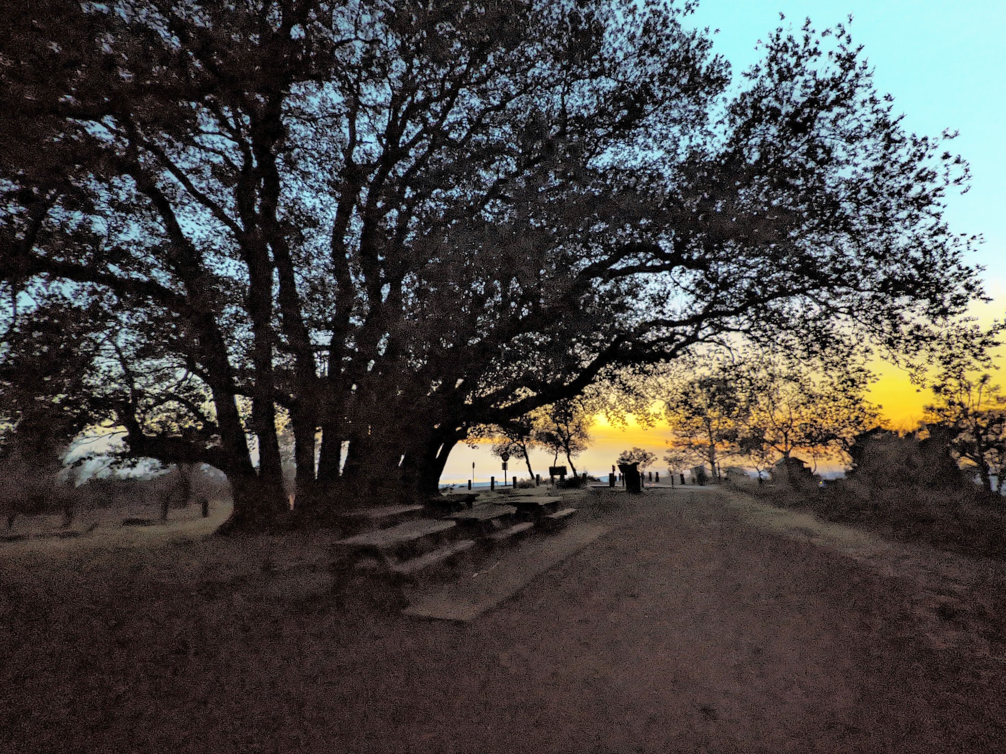 Juniper Trail - Walnut Creek, CA