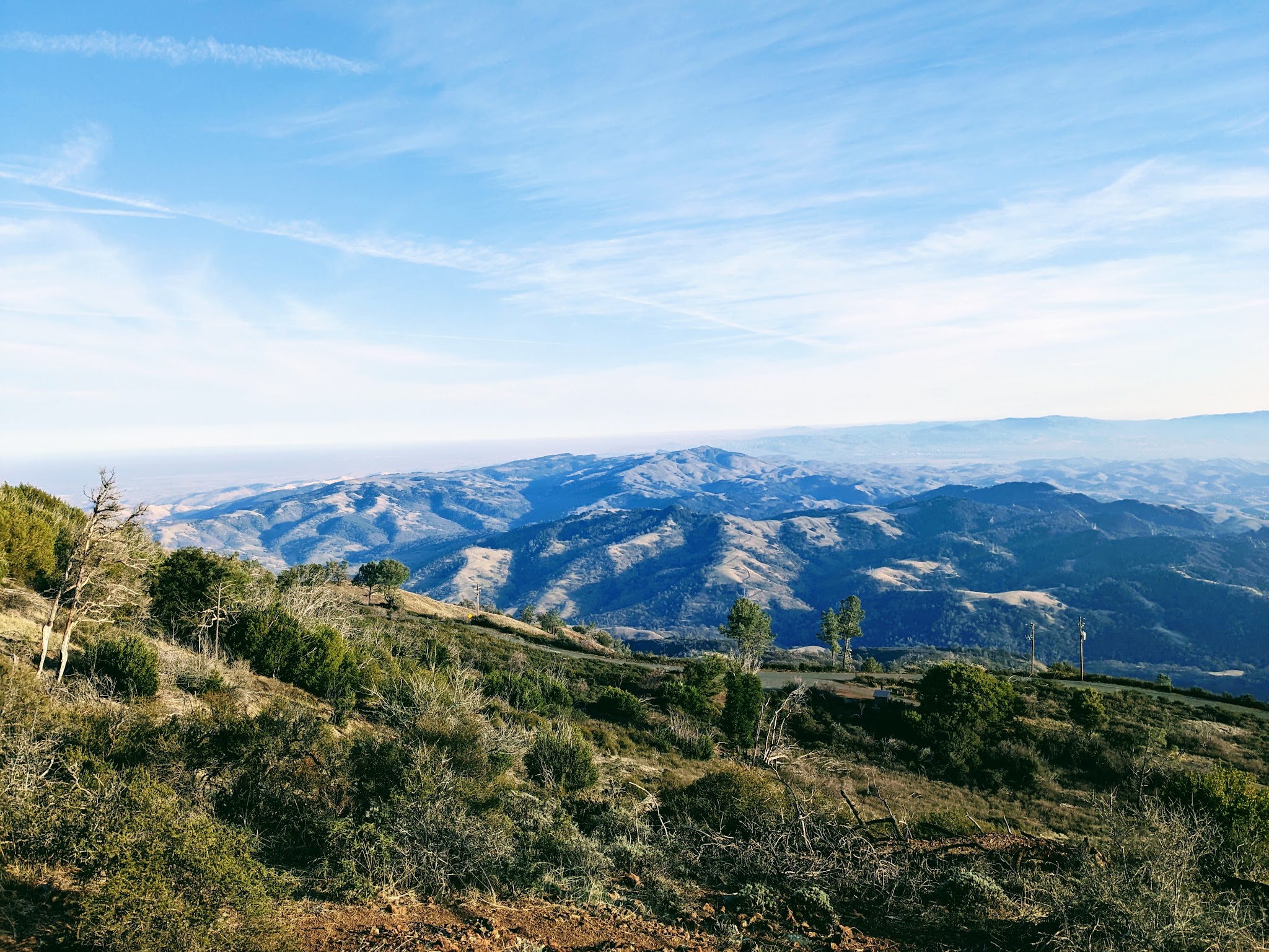 Juniper Trail - Walnut Creek, CA