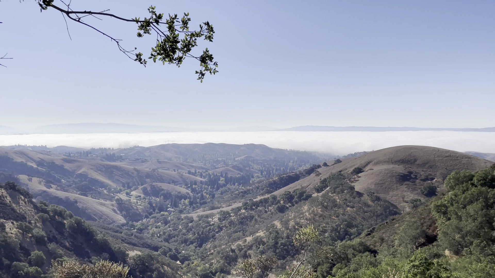 Mount Diablo State Park - Walnut Creek, CA