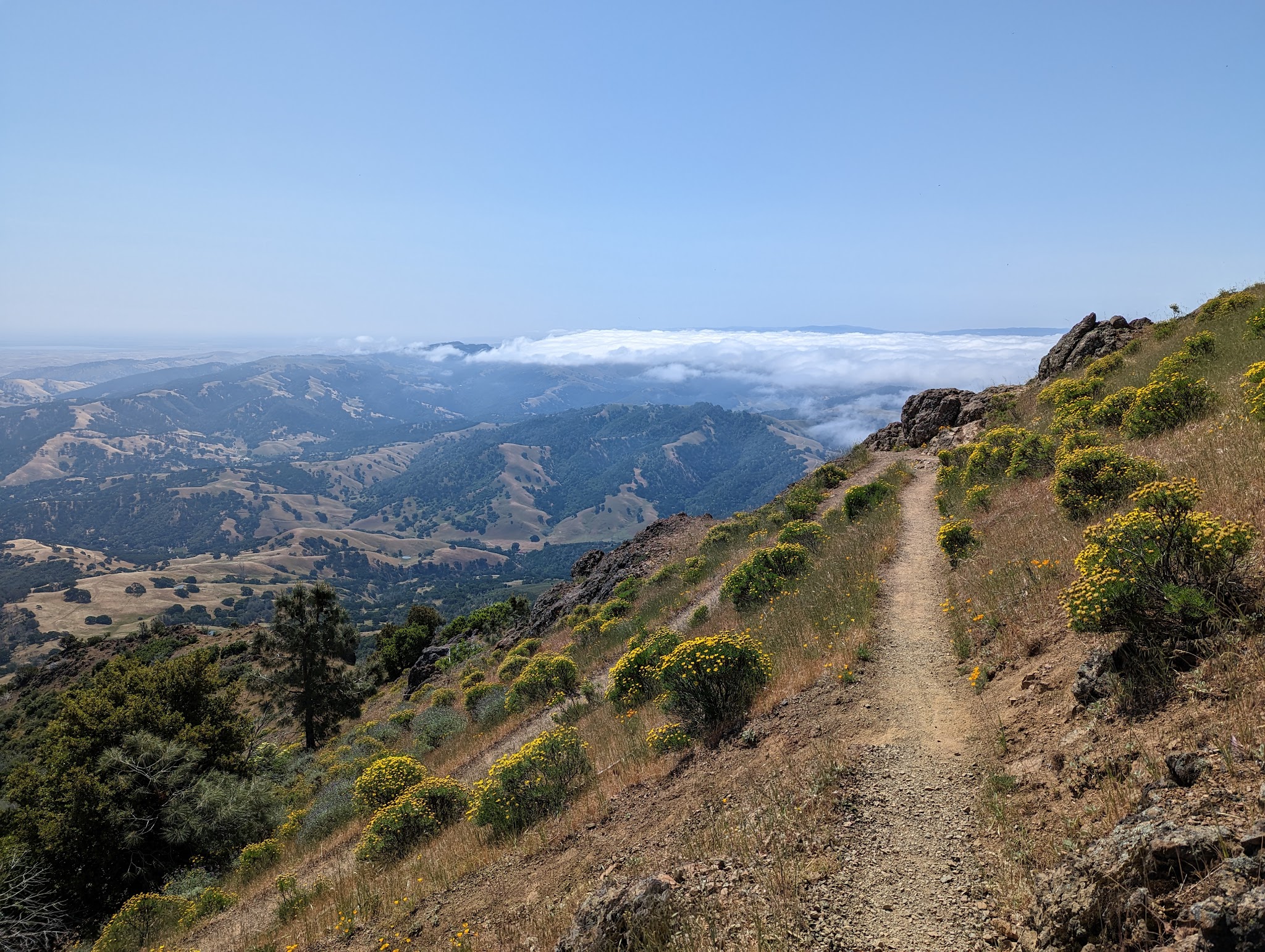 Mount Diablo State Park - Walnut Creek, CA