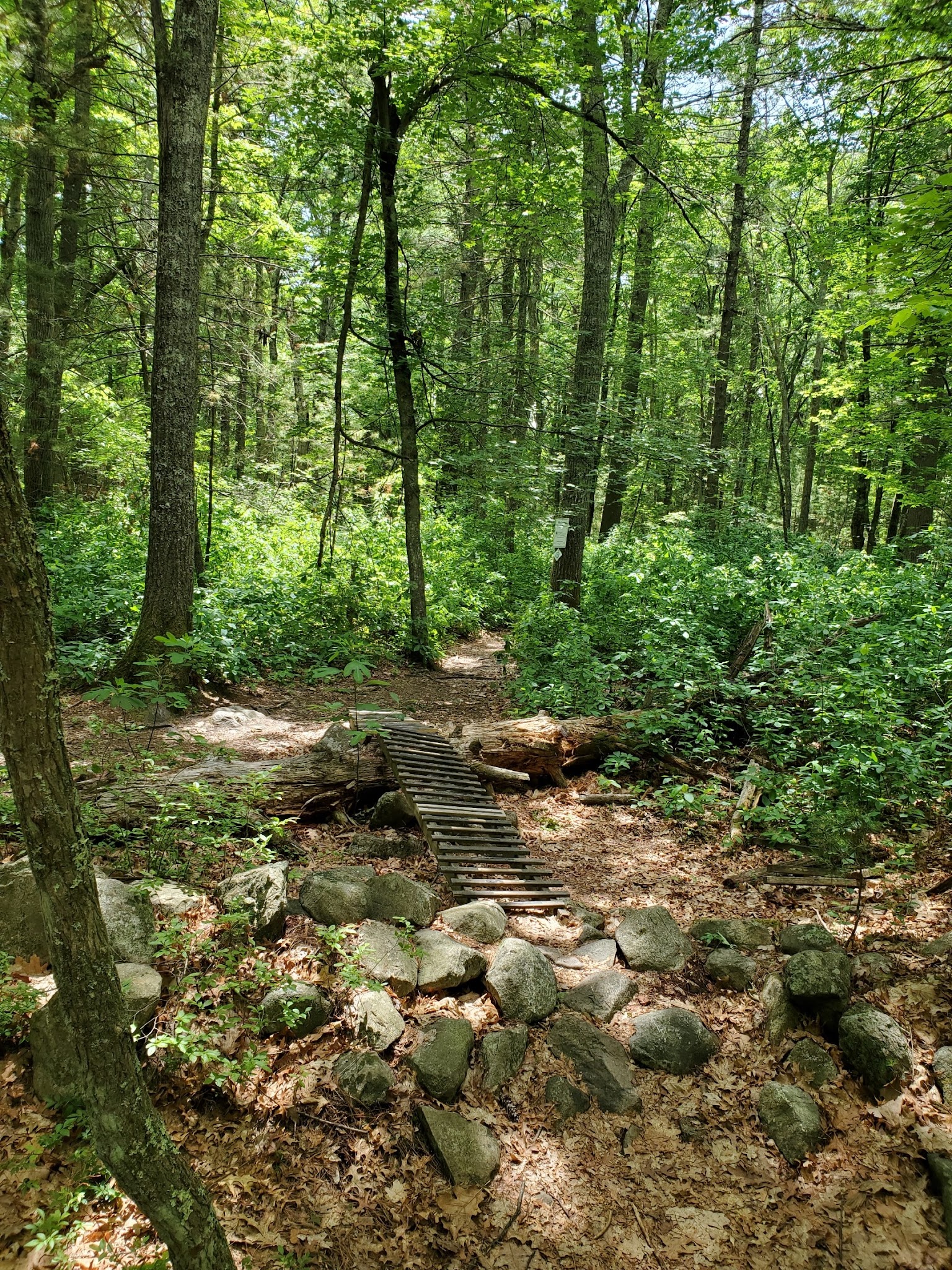 Adams Farm - Walpole, MA