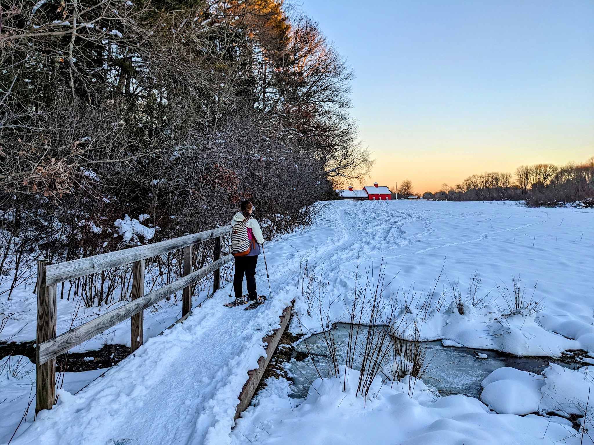 Adams Farm - Walpole, MA