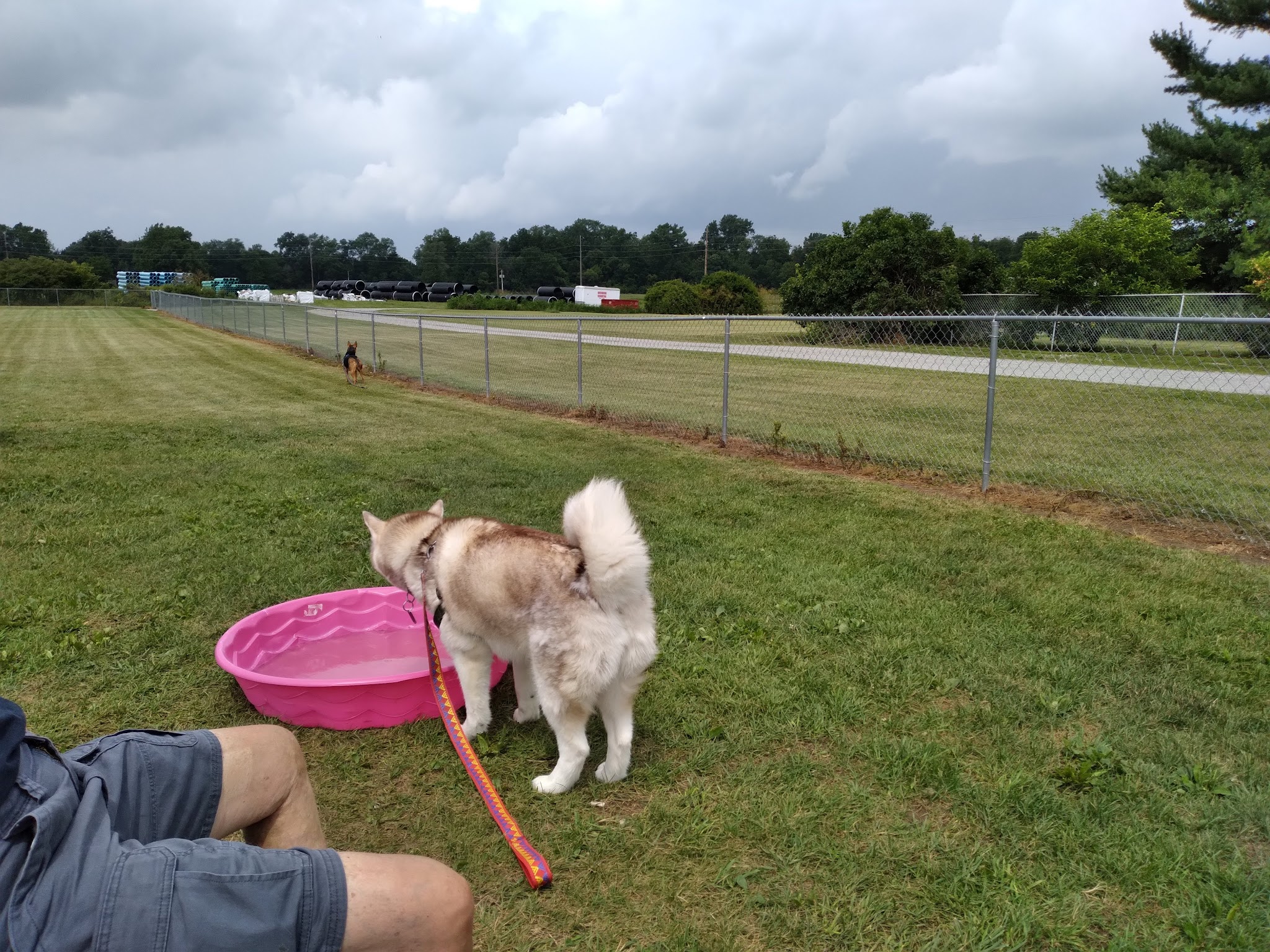 Wapak Dog Park - Wapakoneta, OH