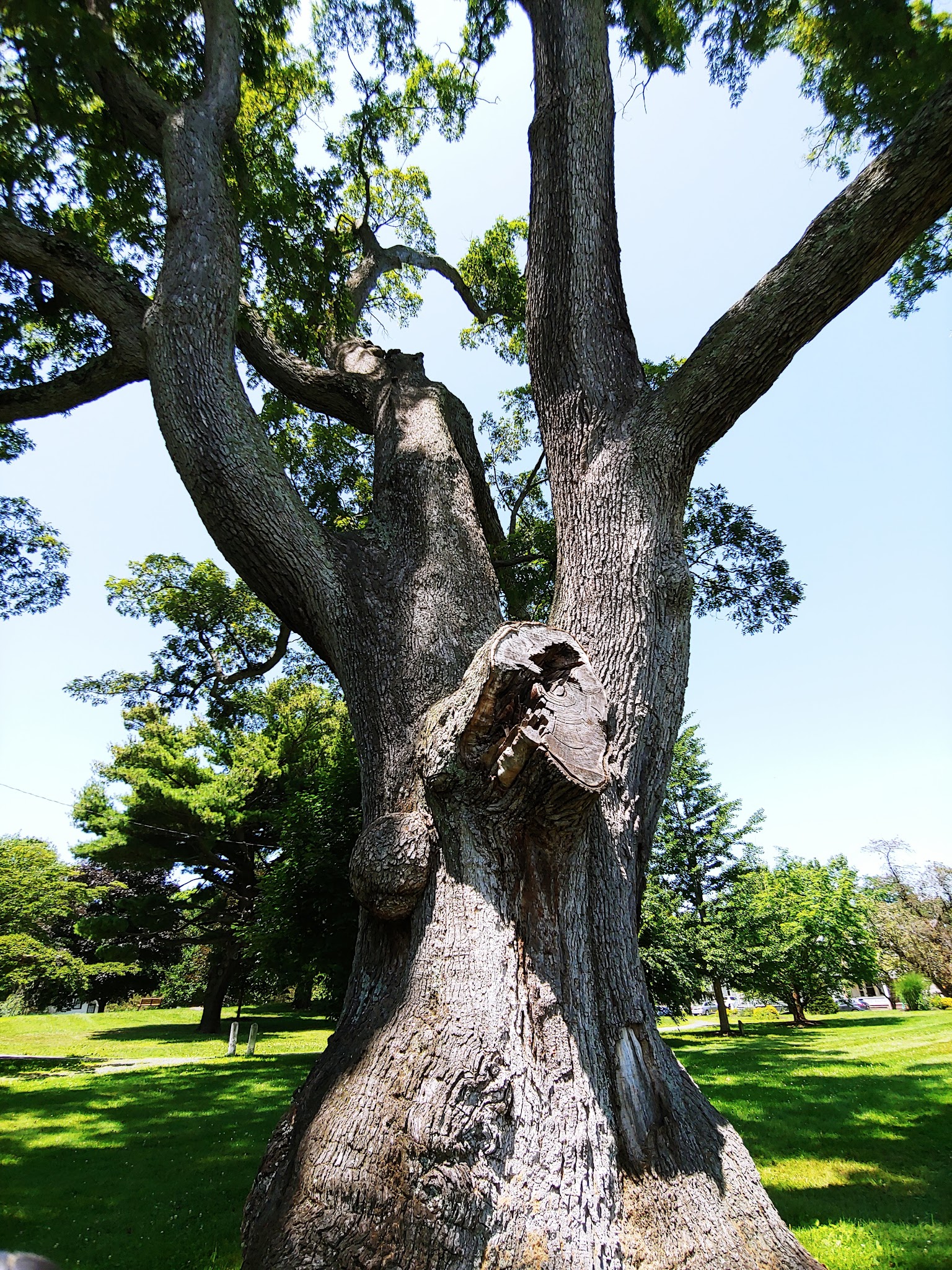 Mesier Park - Wappingers Falls, NY