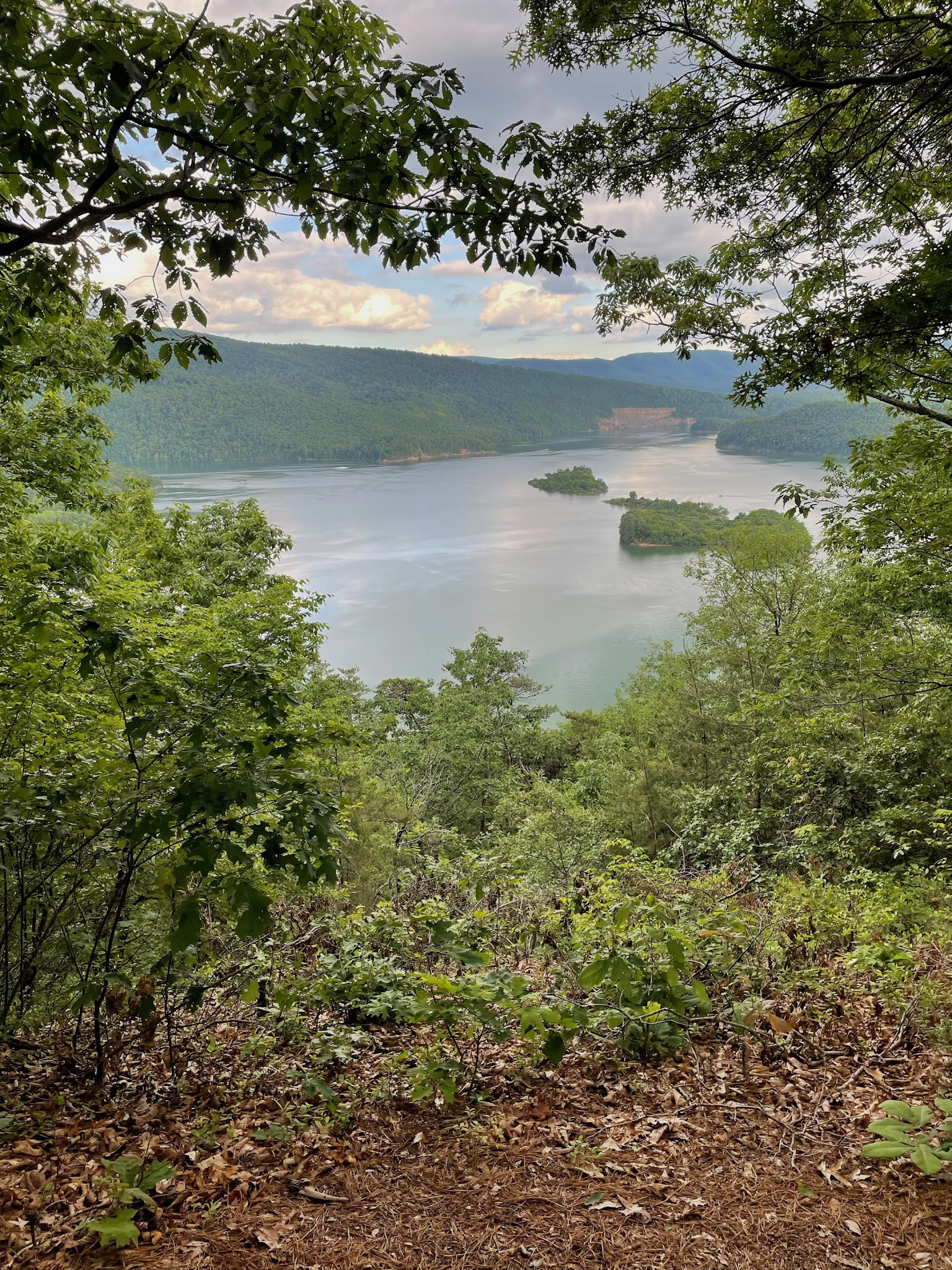 Bolar Loop Trail - Warm Springs, VA