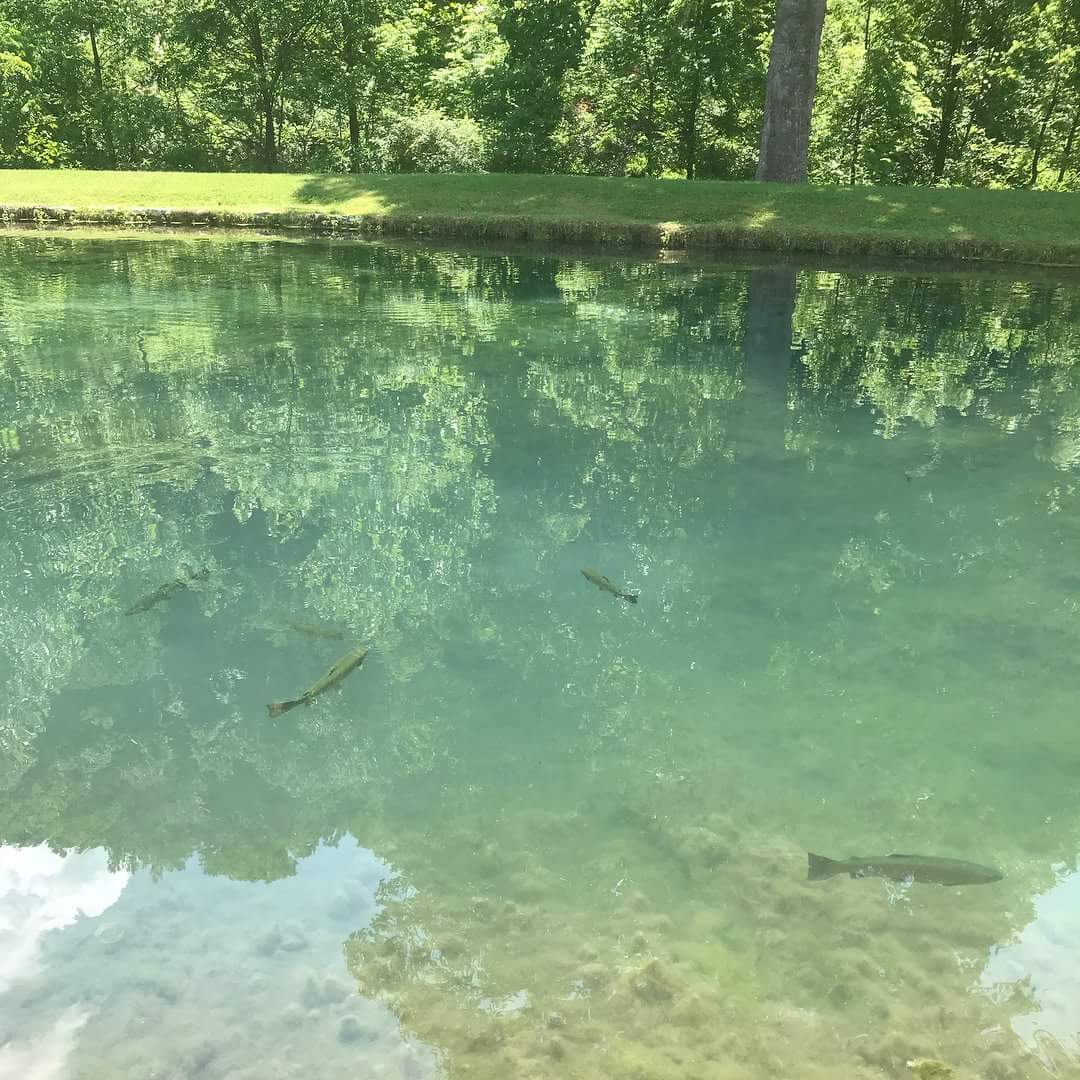 Warm Springs - Warm Springs, VA