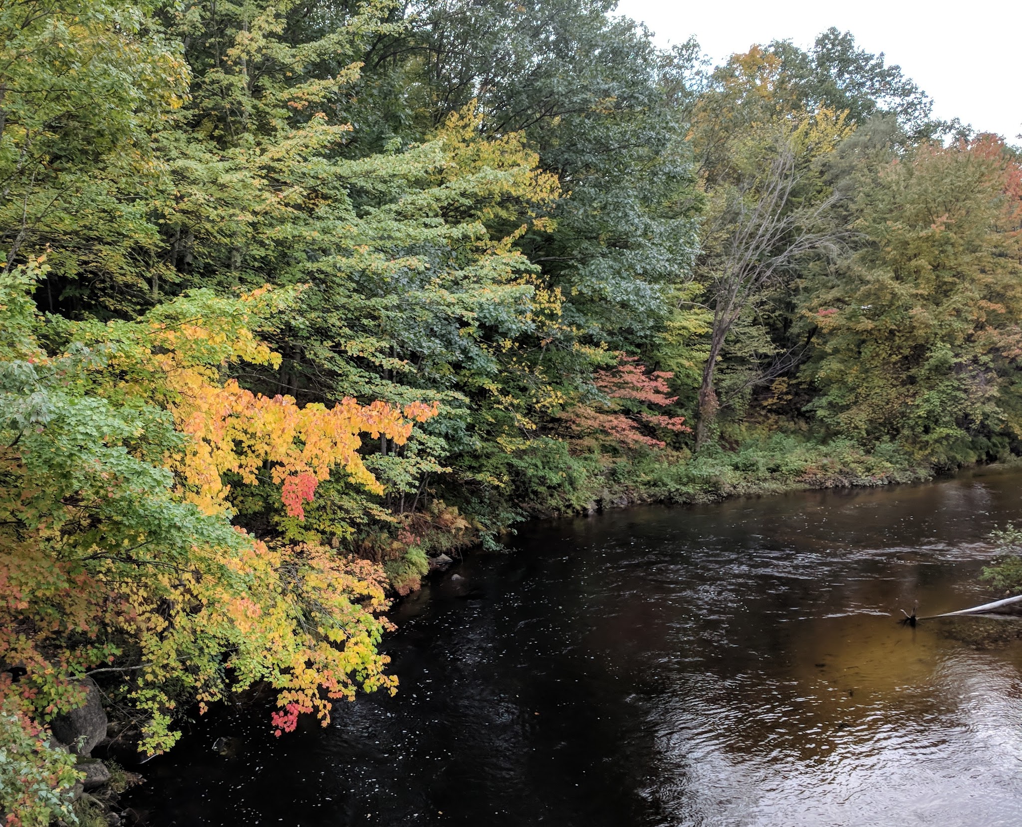 Riverside Park - Warner, NH