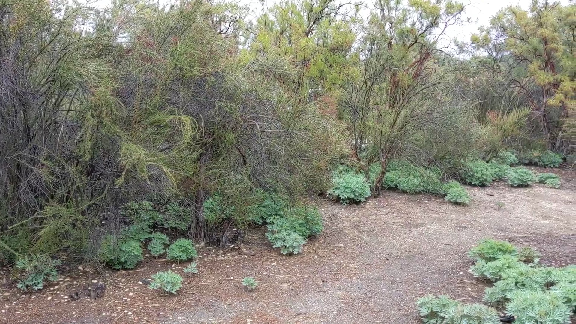 Oak Grove Campground - Warner Springs, CA