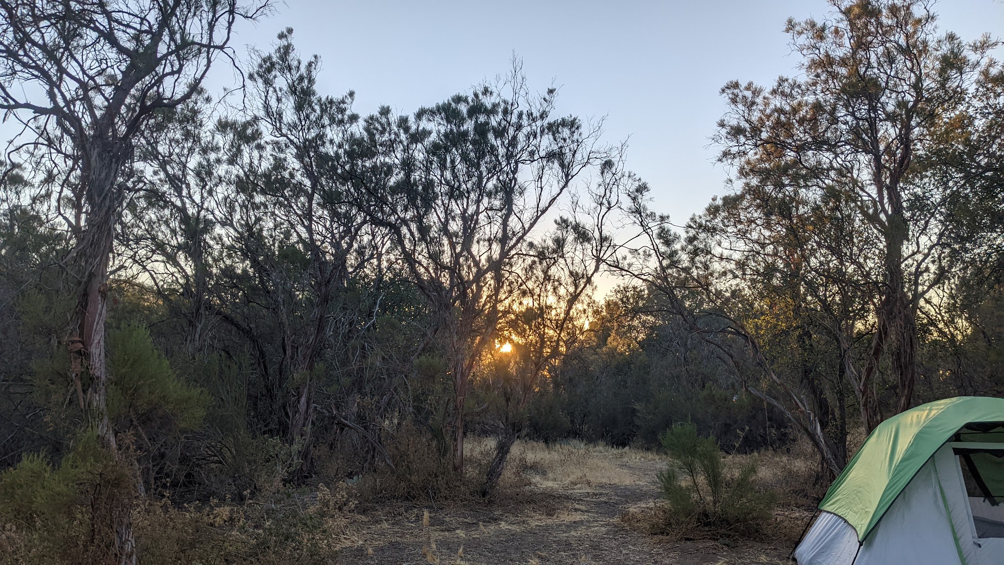 Oak Grove Campground - Warner Springs, CA