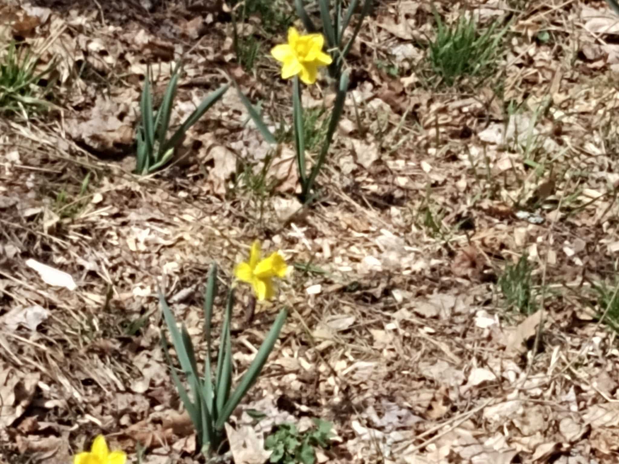 Lucy Stone Park - Warren, MA