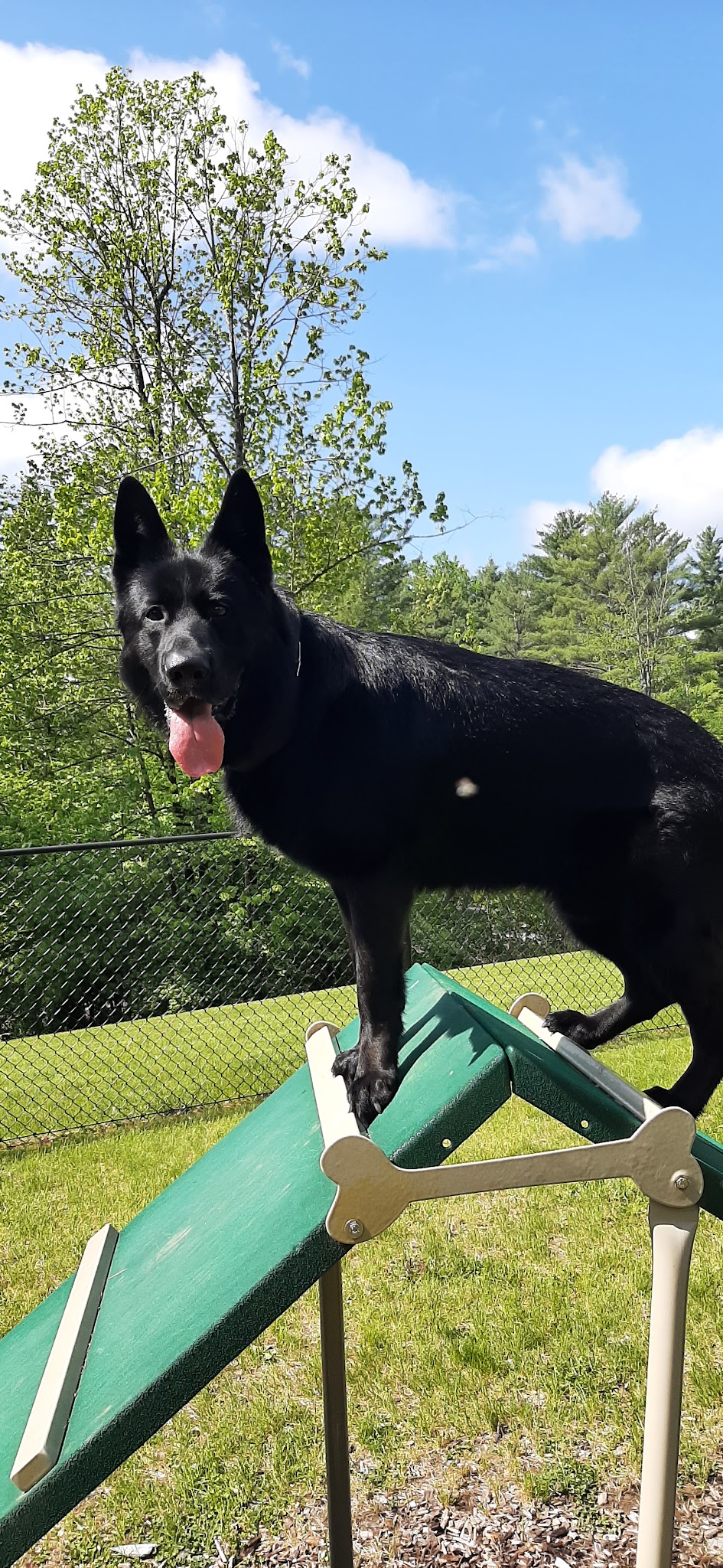 Dog park - Warrensburg, NY