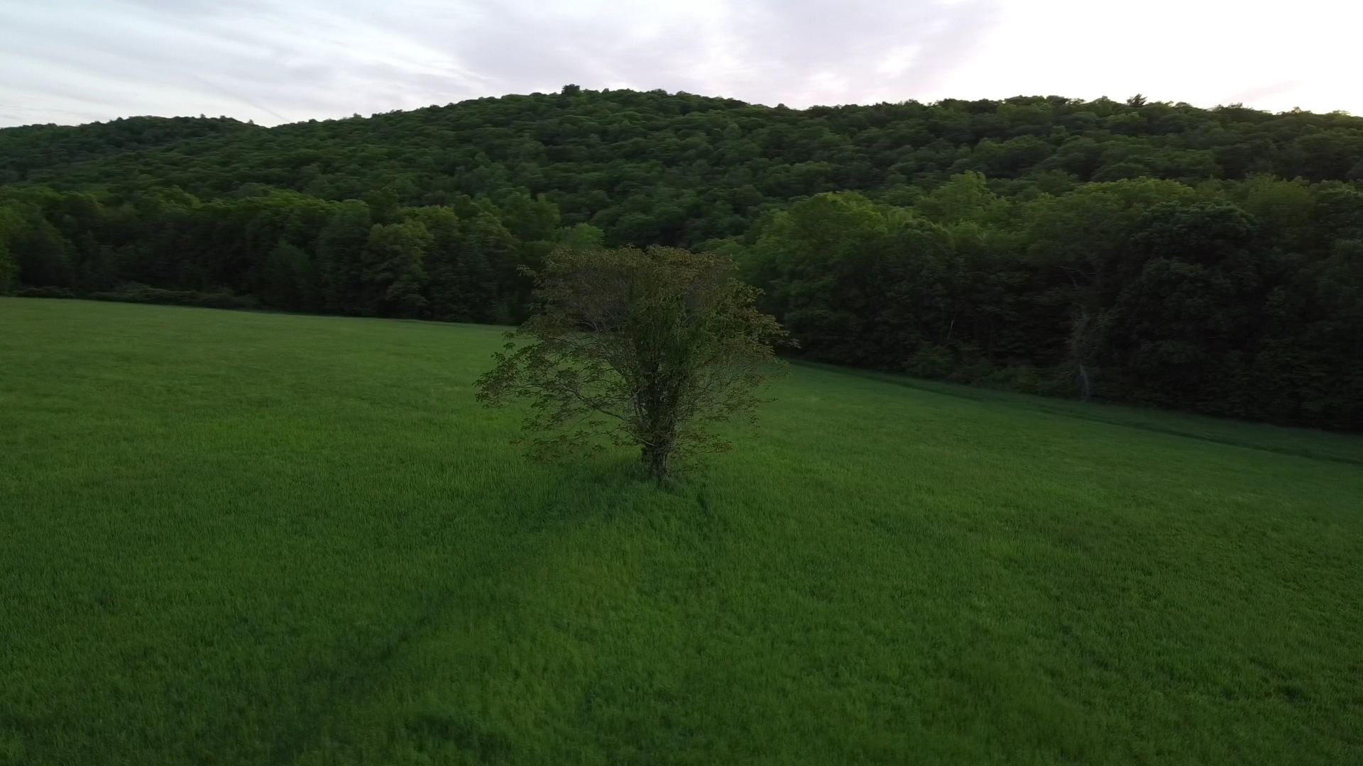 Warwick County Park - Warwick, NY
