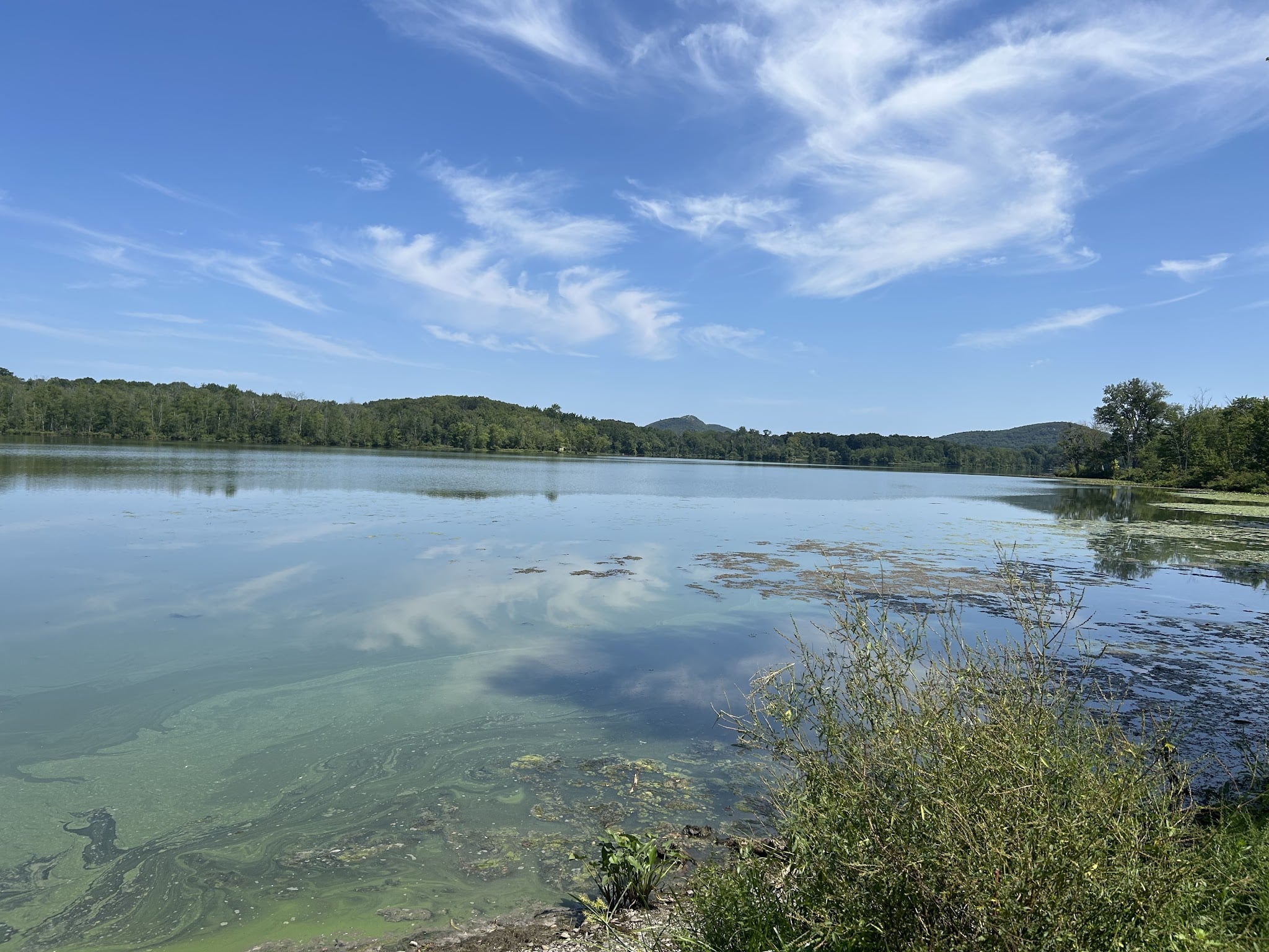 Wickham Woodlands - Warwick, NY