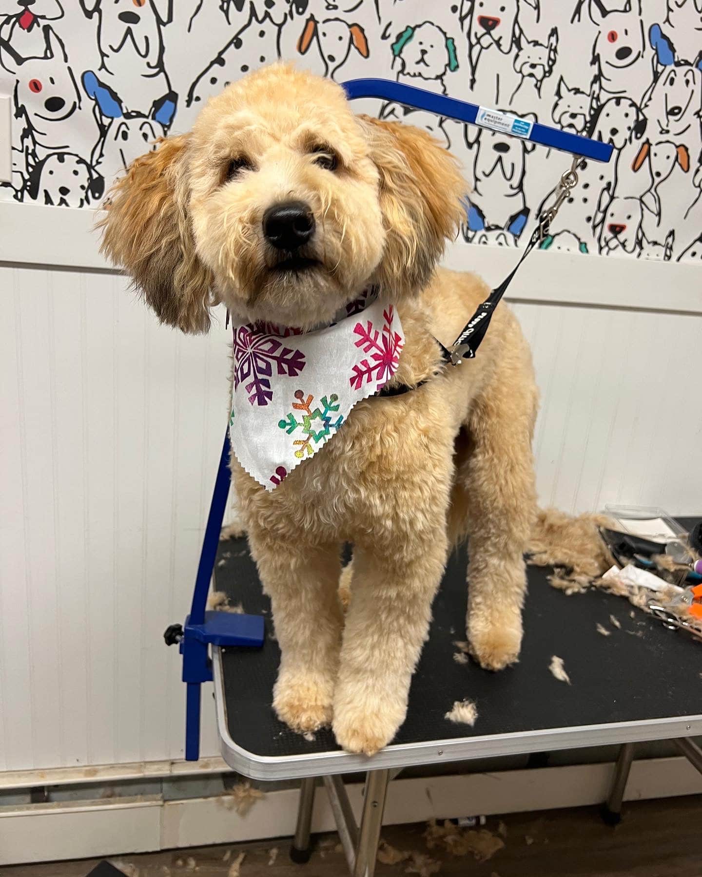 Bow chika Wow Town - Warwick, RI