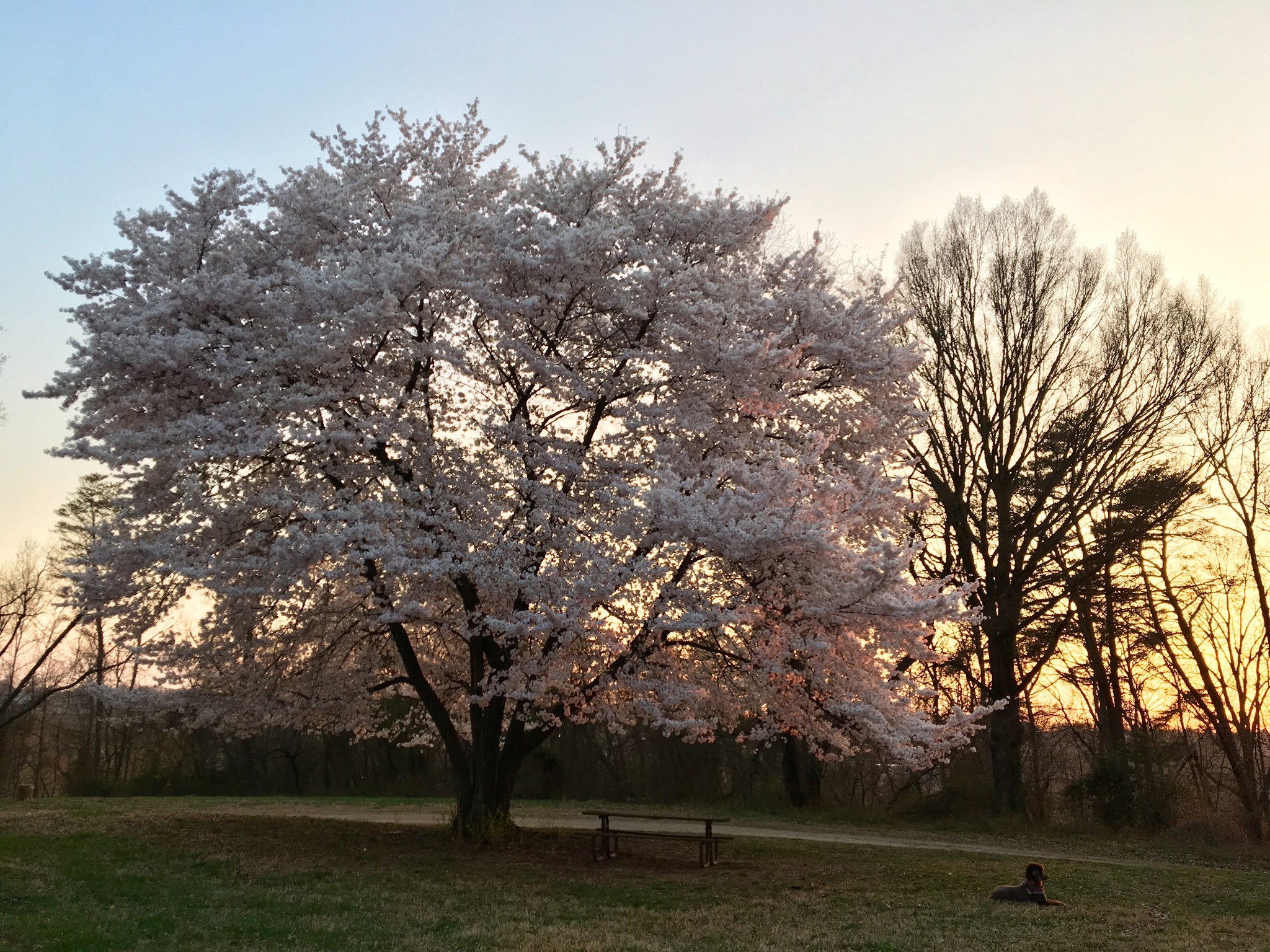 Barnard Hill Park - Washington,