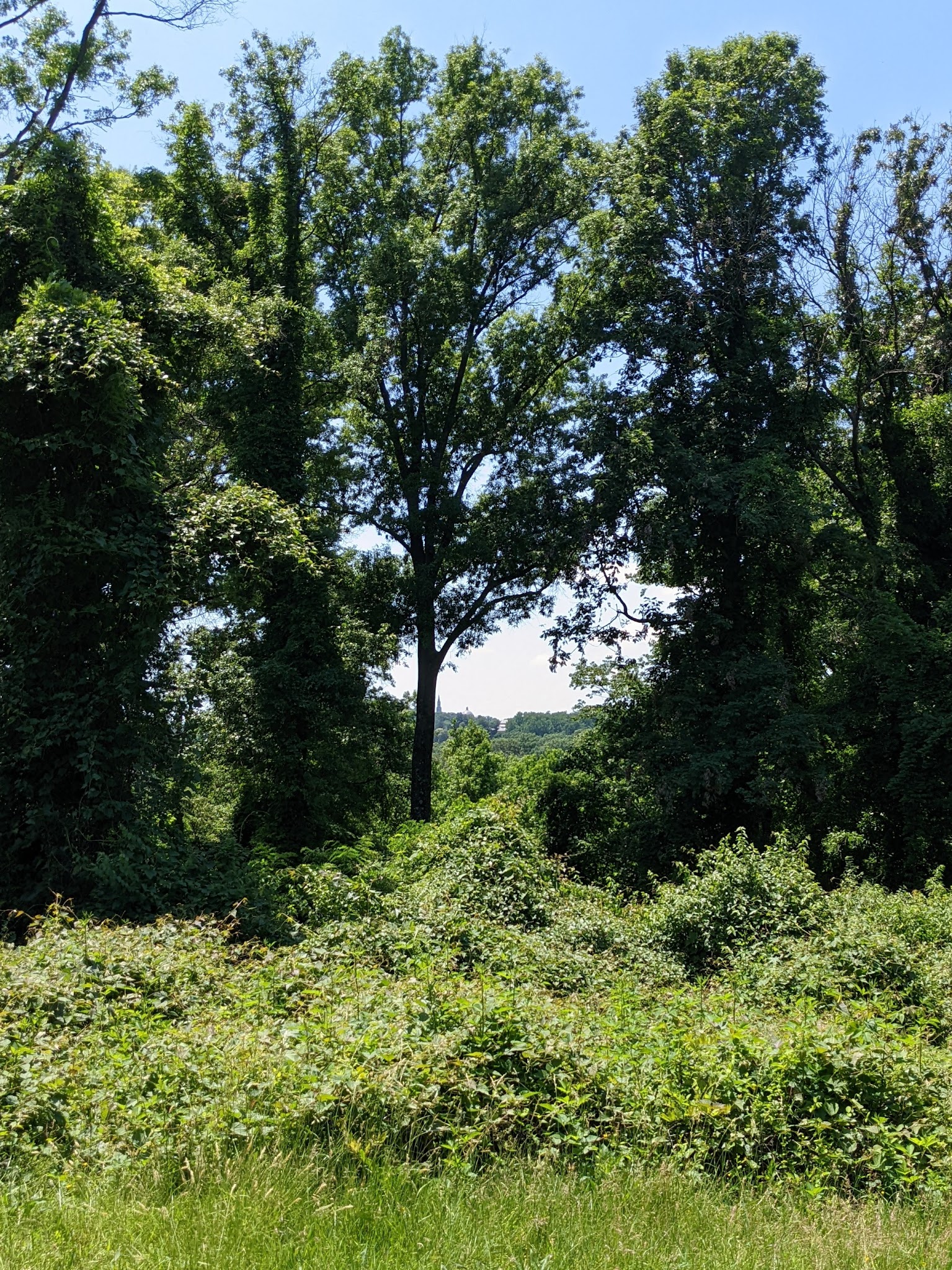 Barnard Hill Park - Washington,