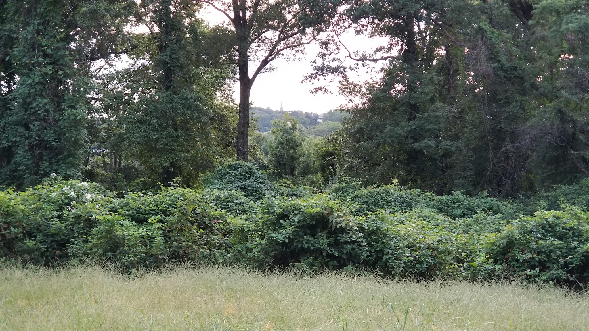 Barnard Hill Park - Washington,