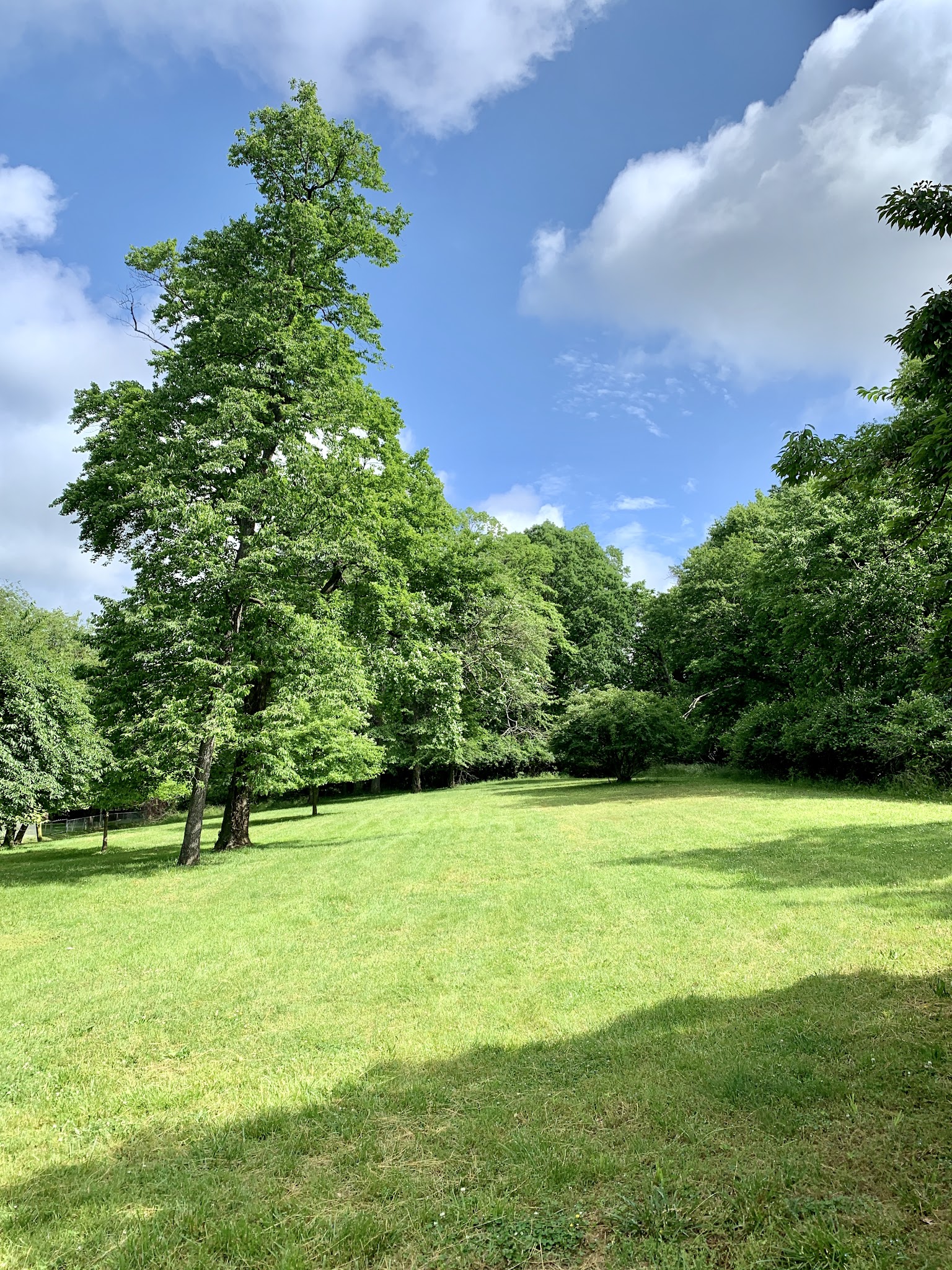 Barnard Hill Park - Washington,