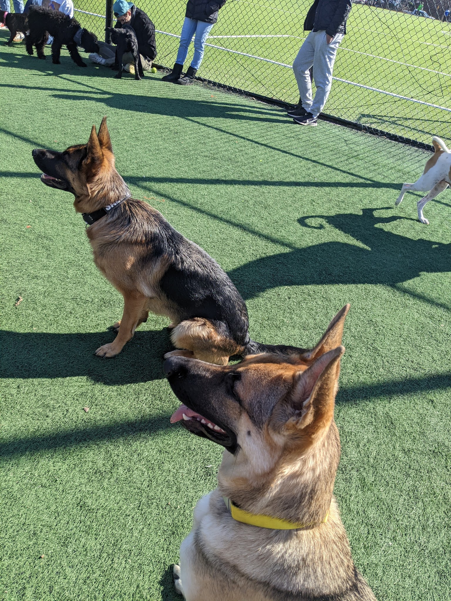 Bundy Field - Washington,