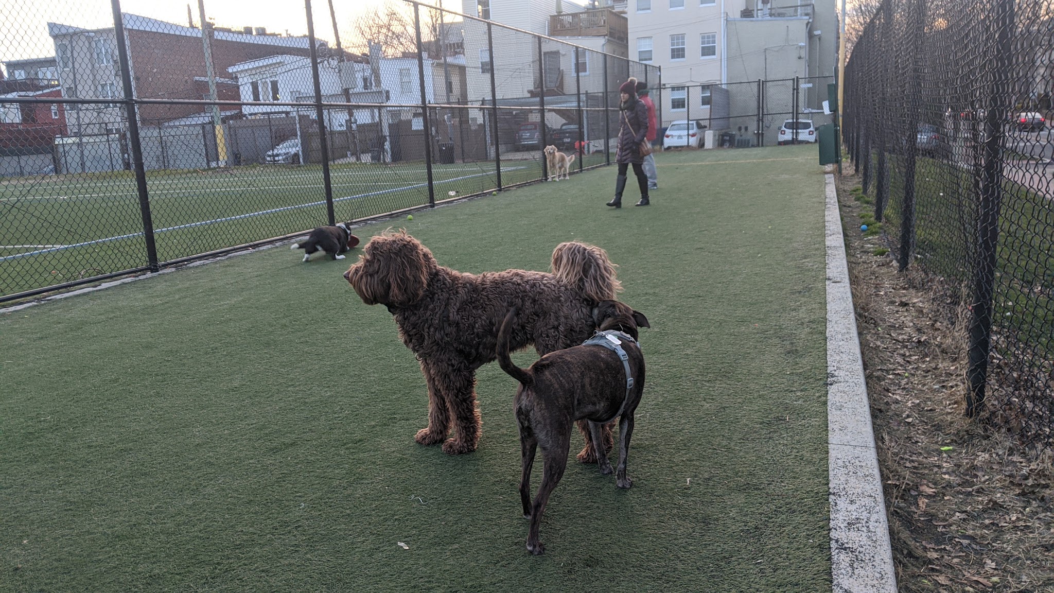 Bundy Field - Washington,
