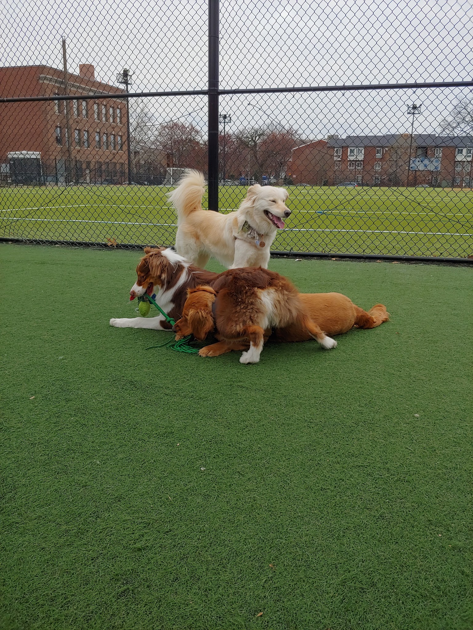 Bundy Field - Washington,