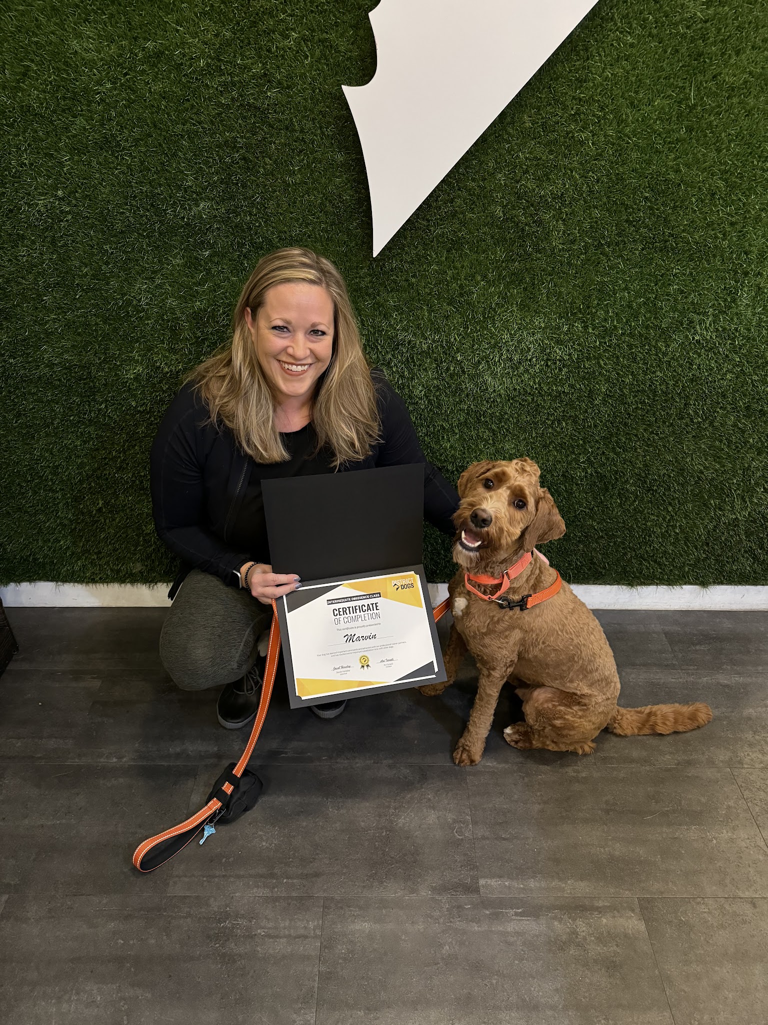 District Dogs Enrichment Facility - Washington,