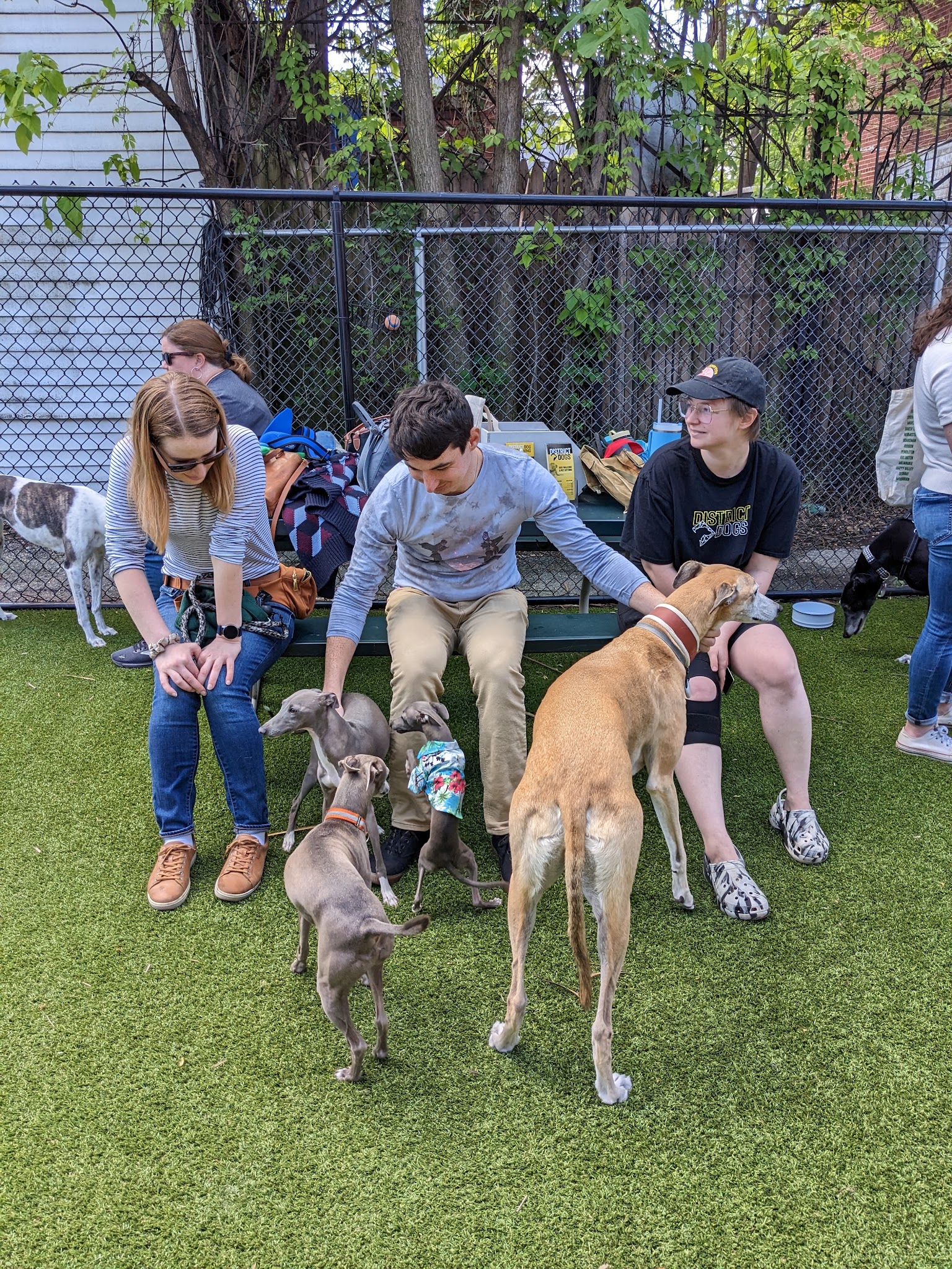 District Dogs Enrichment Facility - Washington,