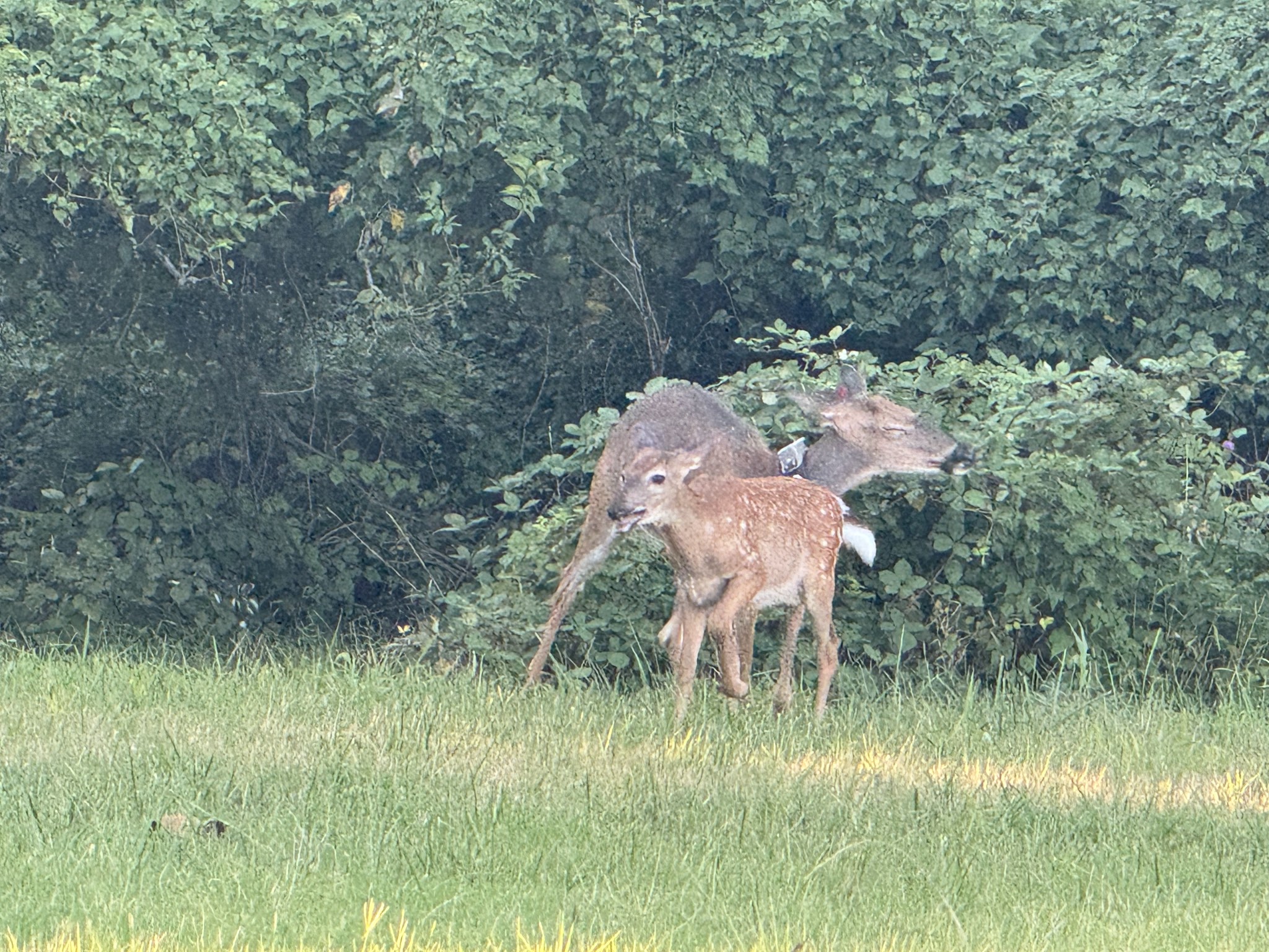 Fort Totten Park - Washington,