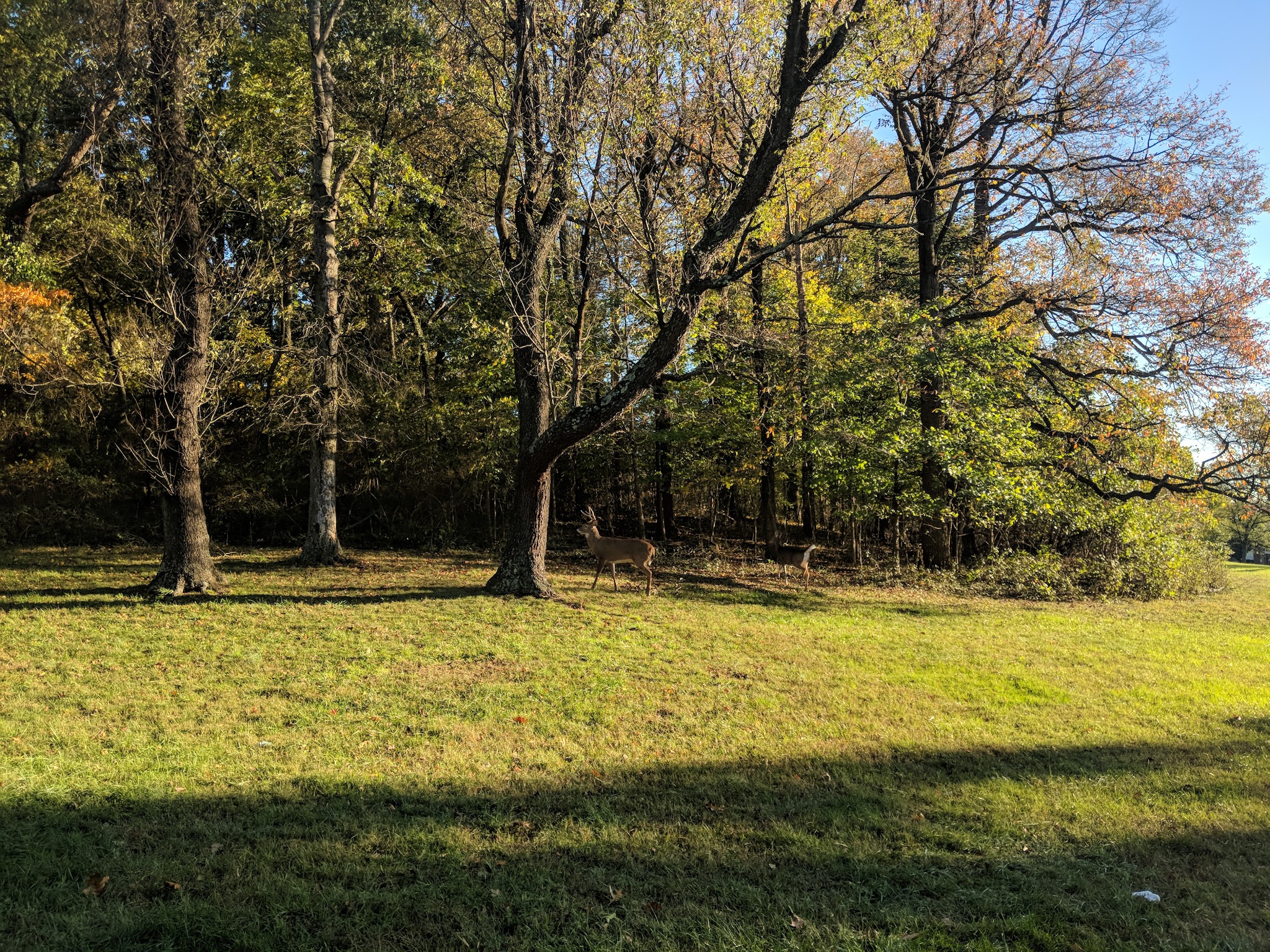 Fort Totten Park - Washington,
