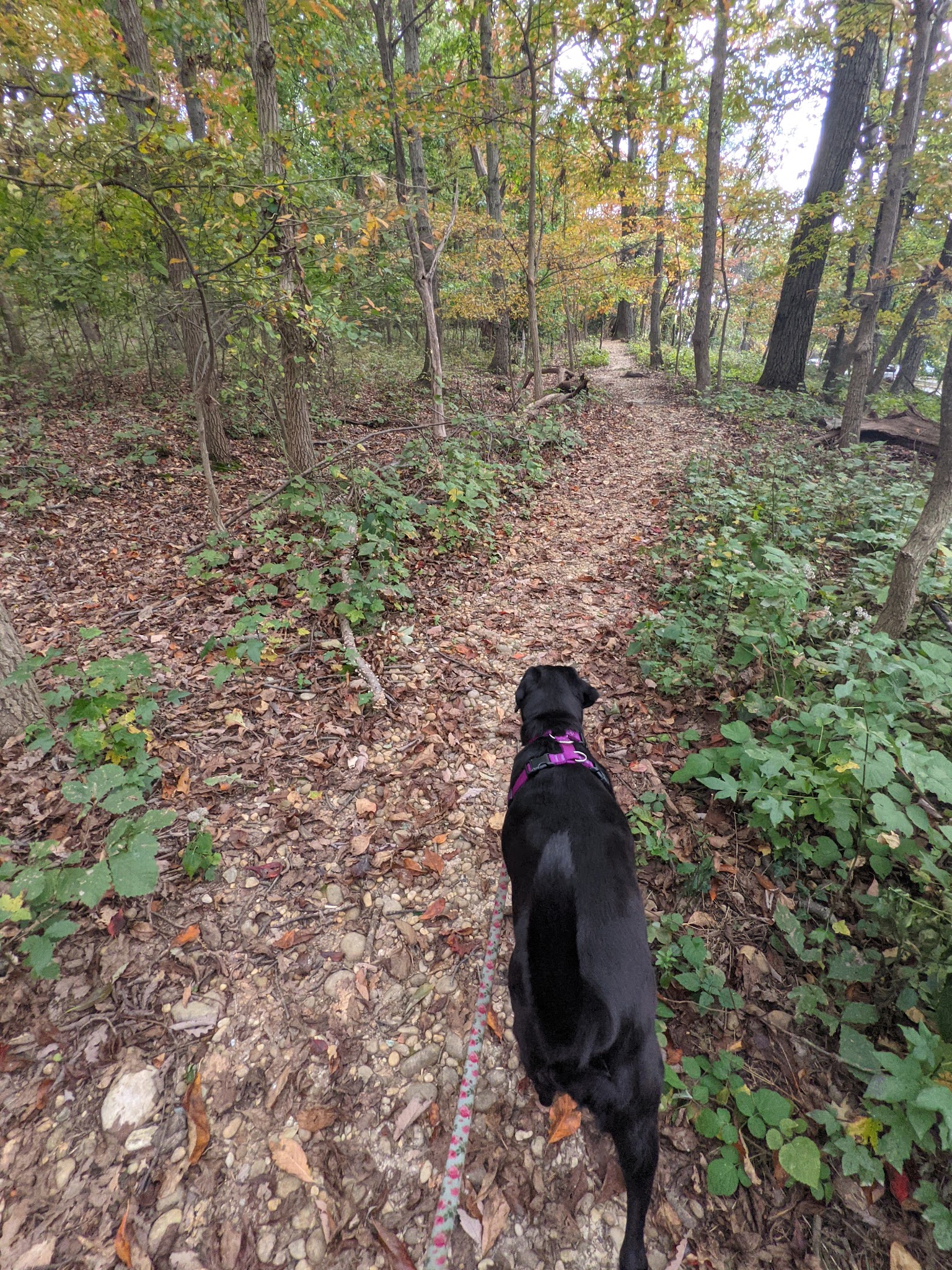 Fort Totten Park - Washington,